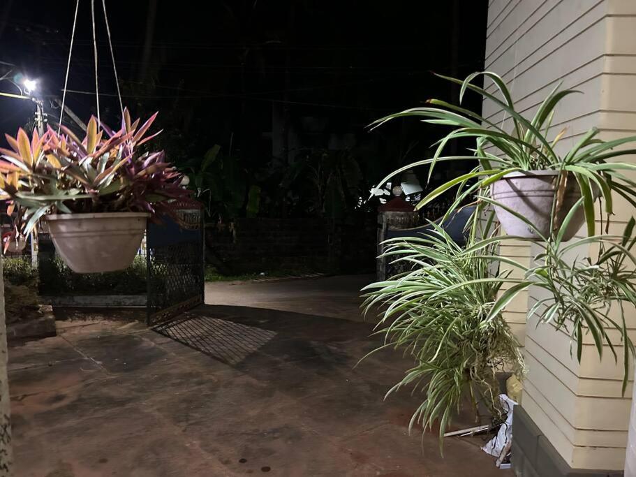 Al Falah Homestay view 5