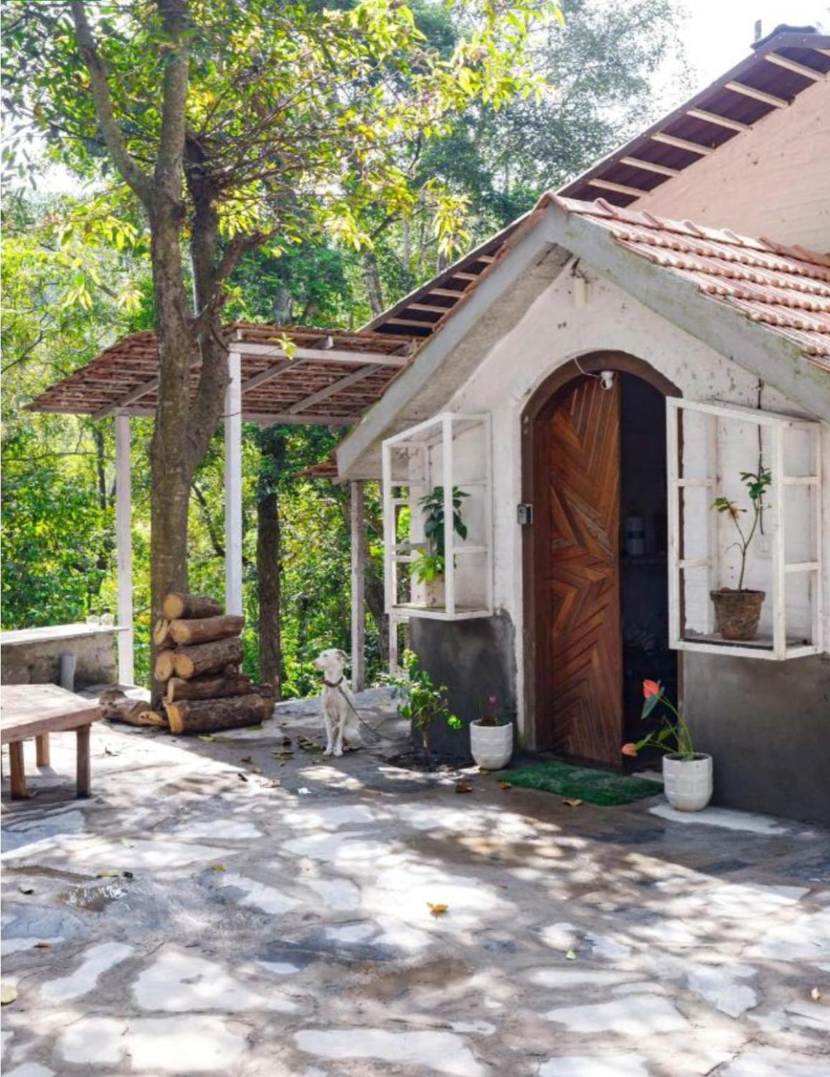 Jungle stay by Bilwa Estate