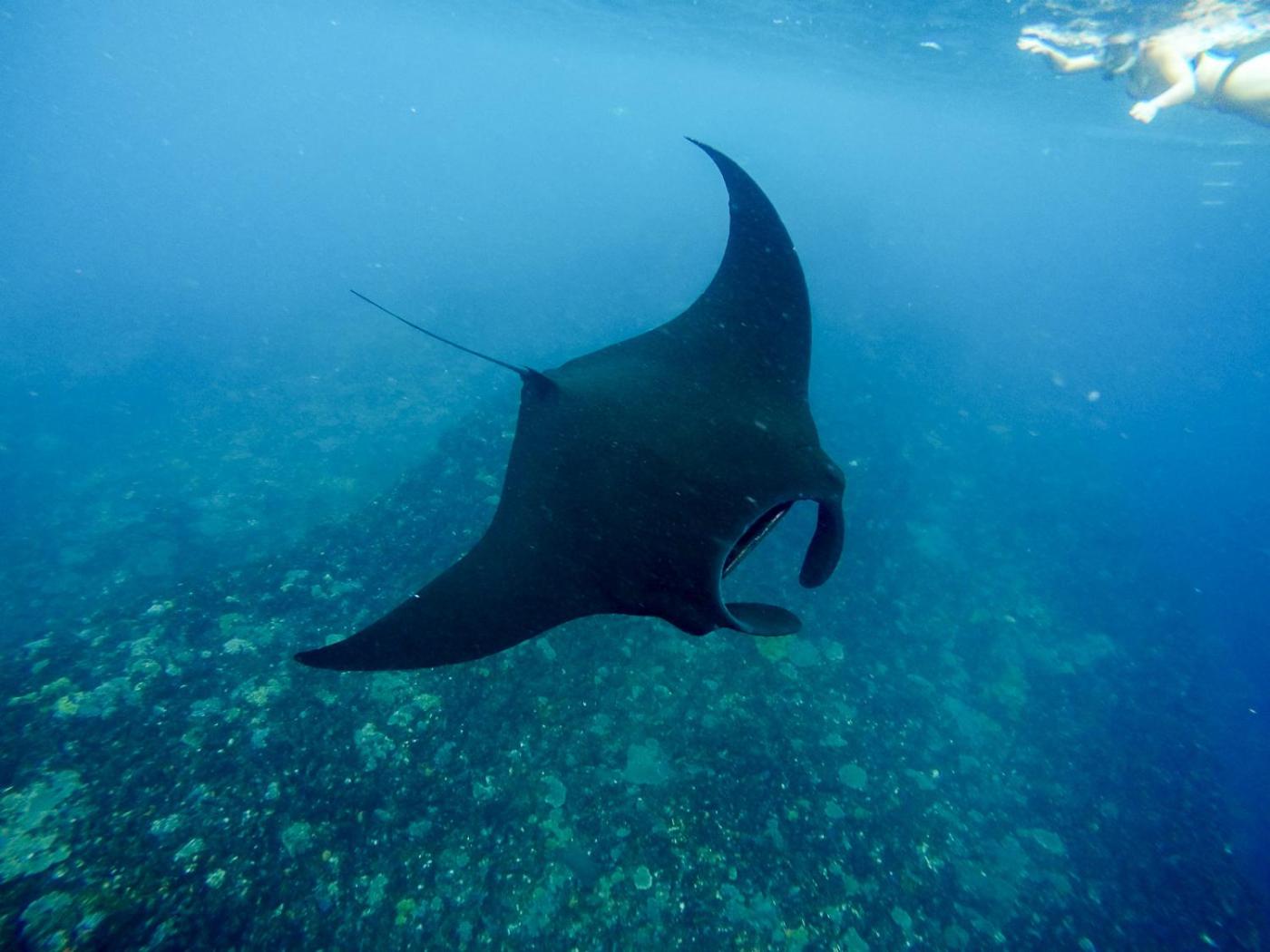 Photo 31