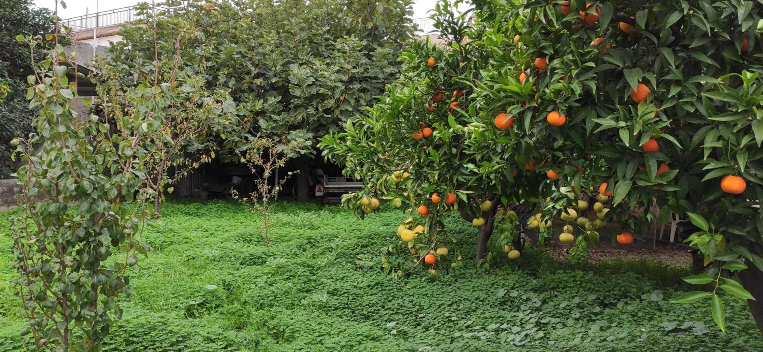 Garden house
