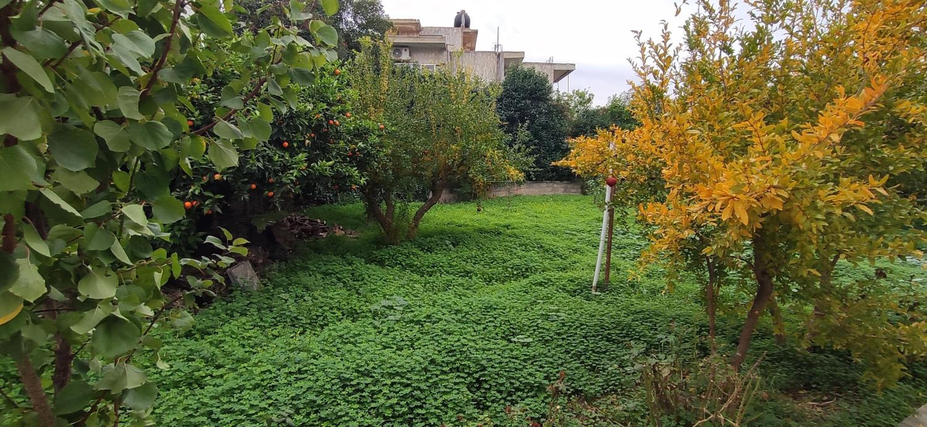 Garden house