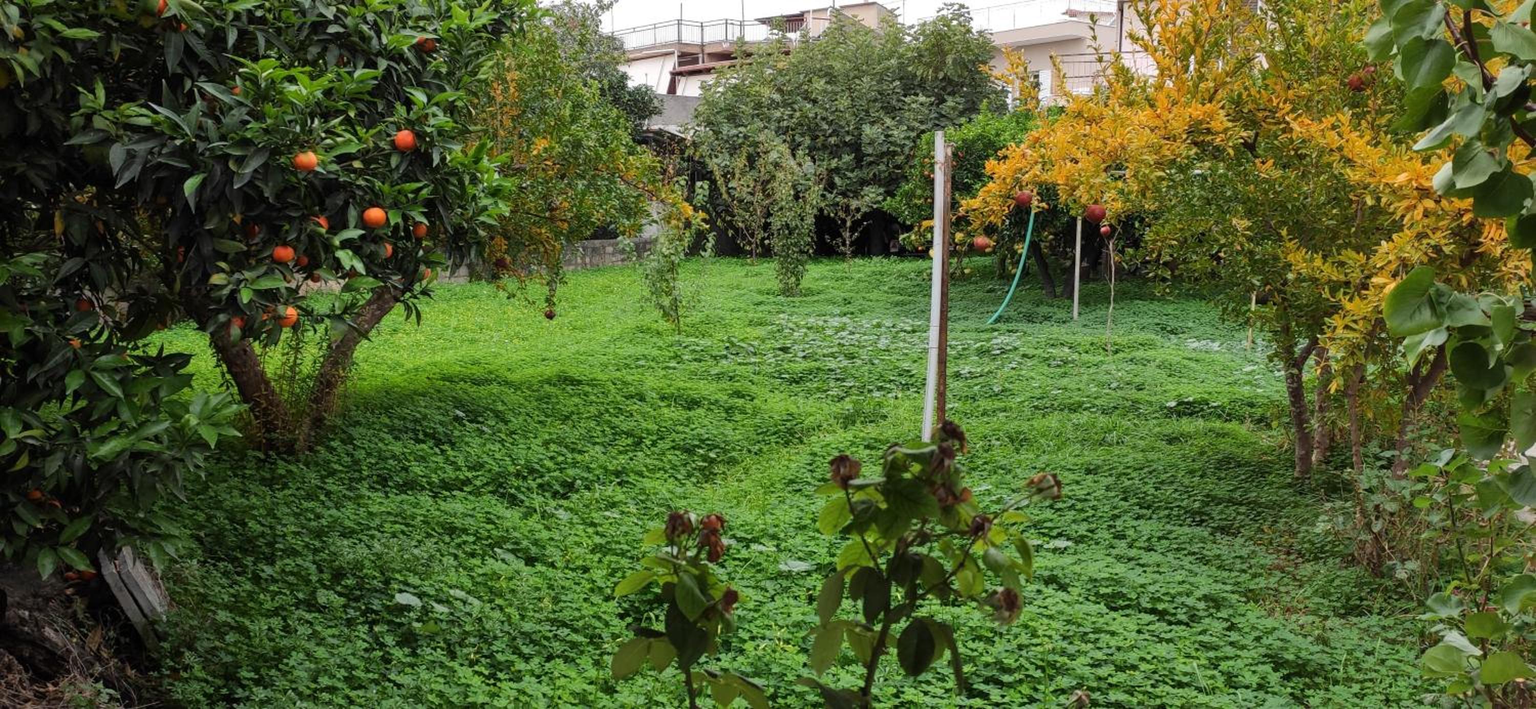 Garden house