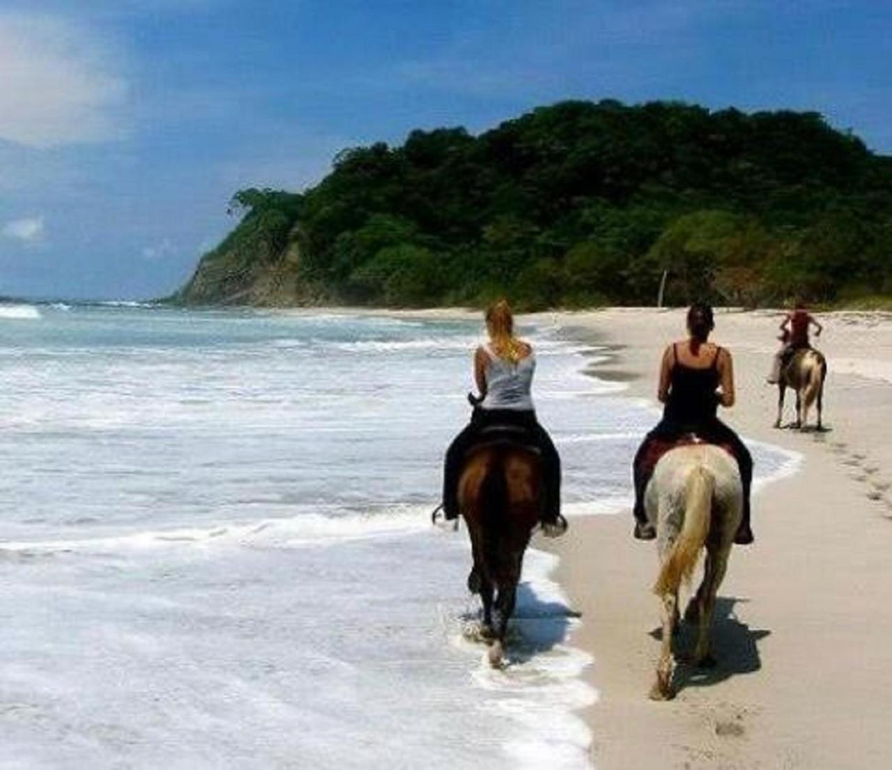 Cabinas de Lou Eco Lodge TAMARINDO