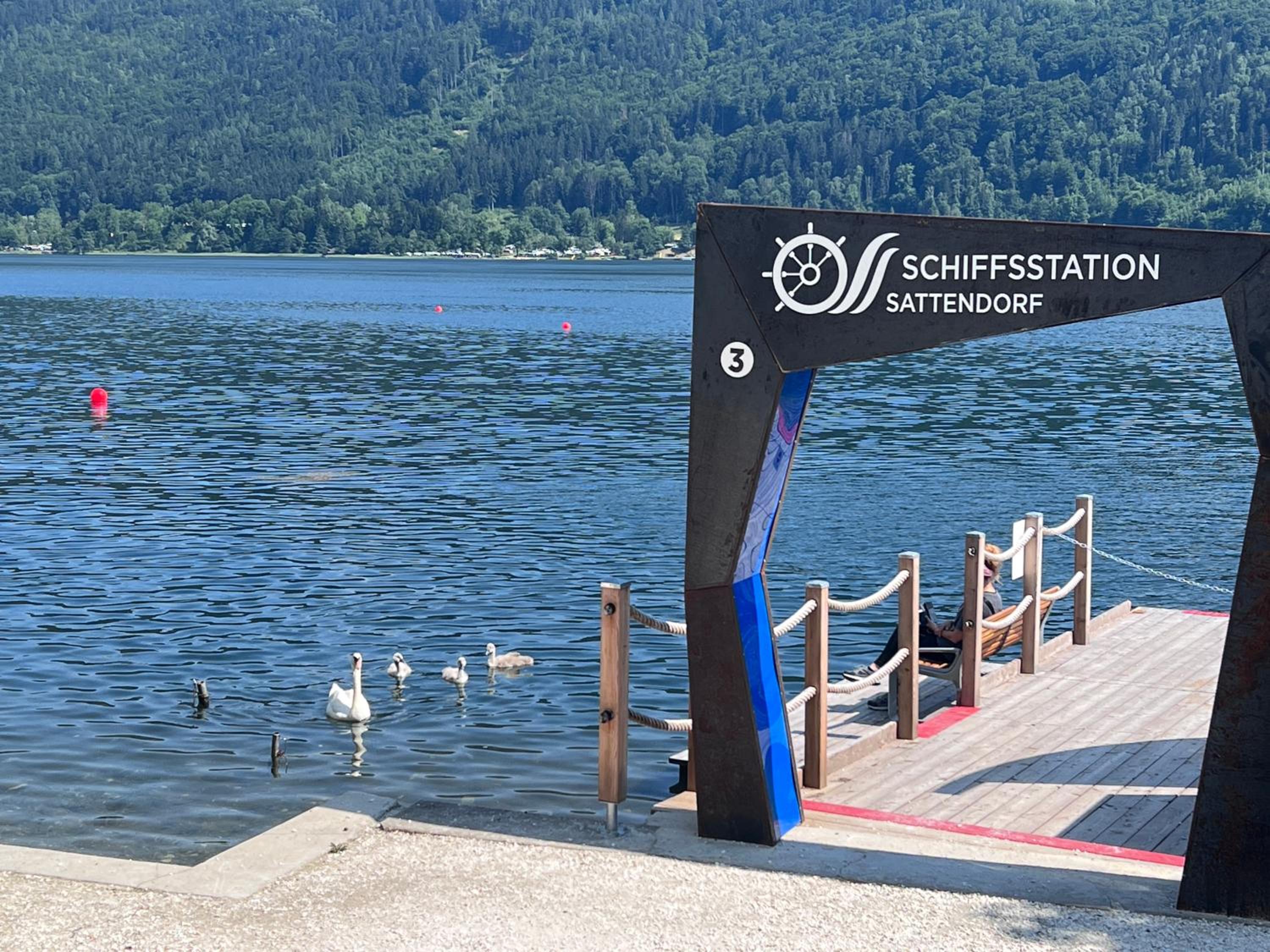 Ferienwohnung mit Seeblick - Ossiacher See Gerlitzen