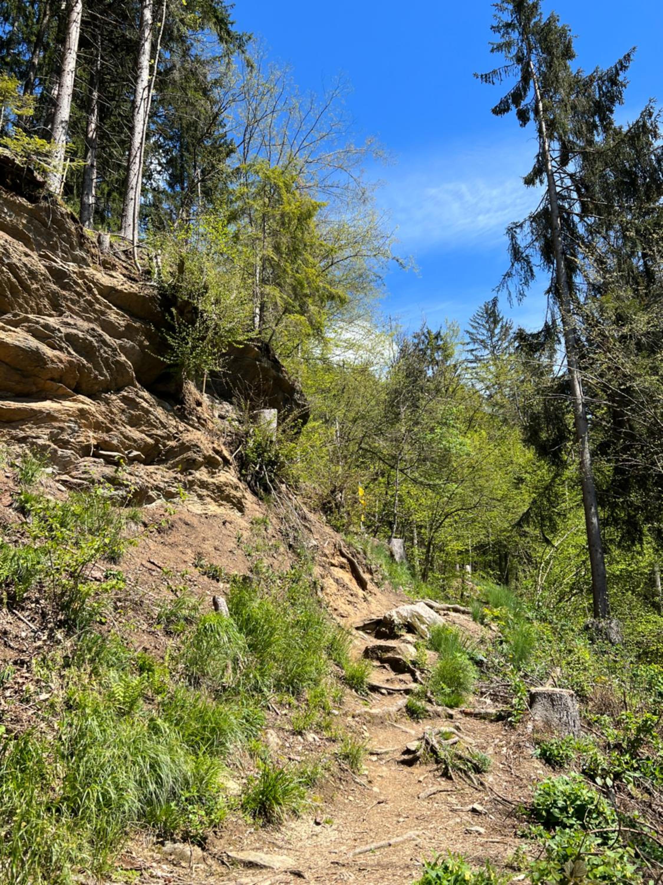 Ferienwohnung mit Seeblick - Ossiacher See Gerlitzen