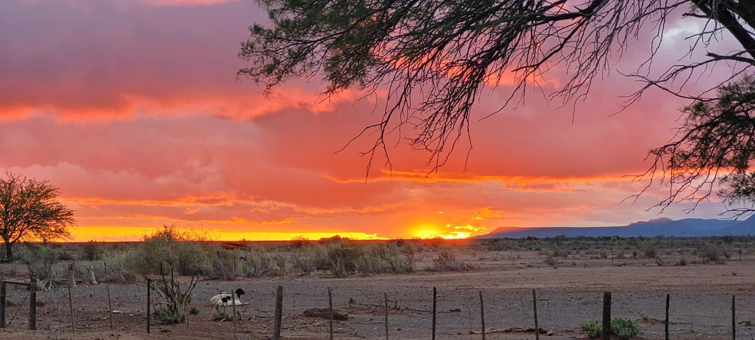 Soetdorings Farmstay Karoo Chalet view 2