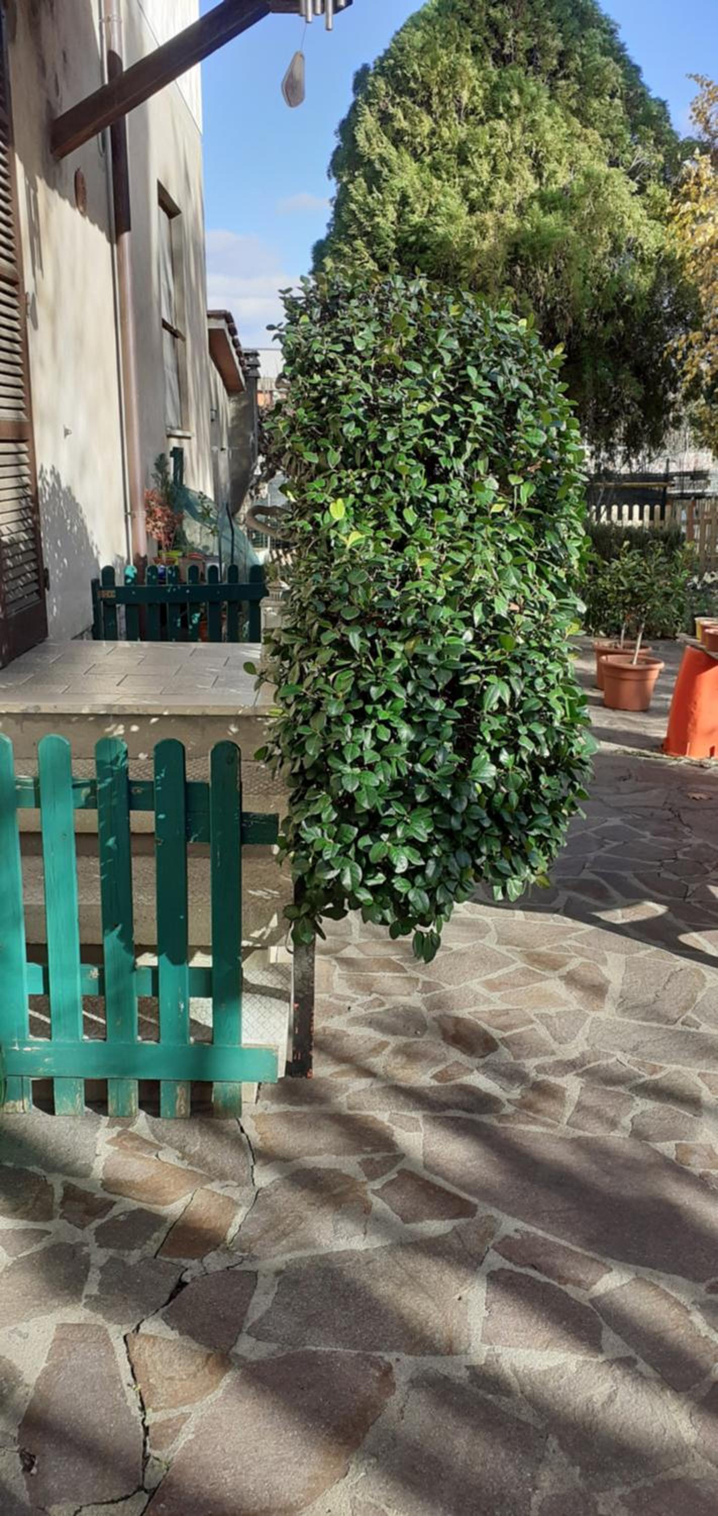 B&B La Camelia
