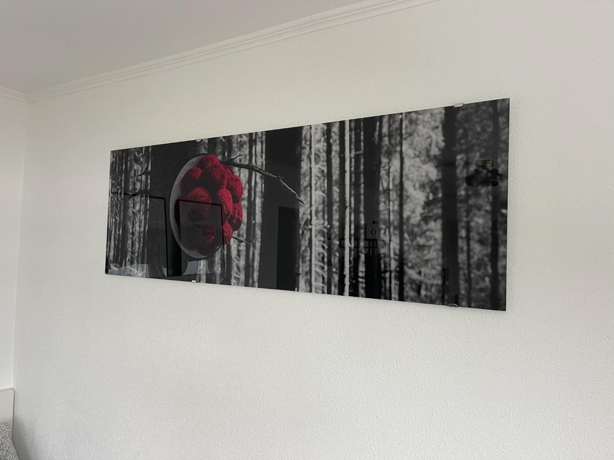 Studio Tonbachblick Baiersbronn