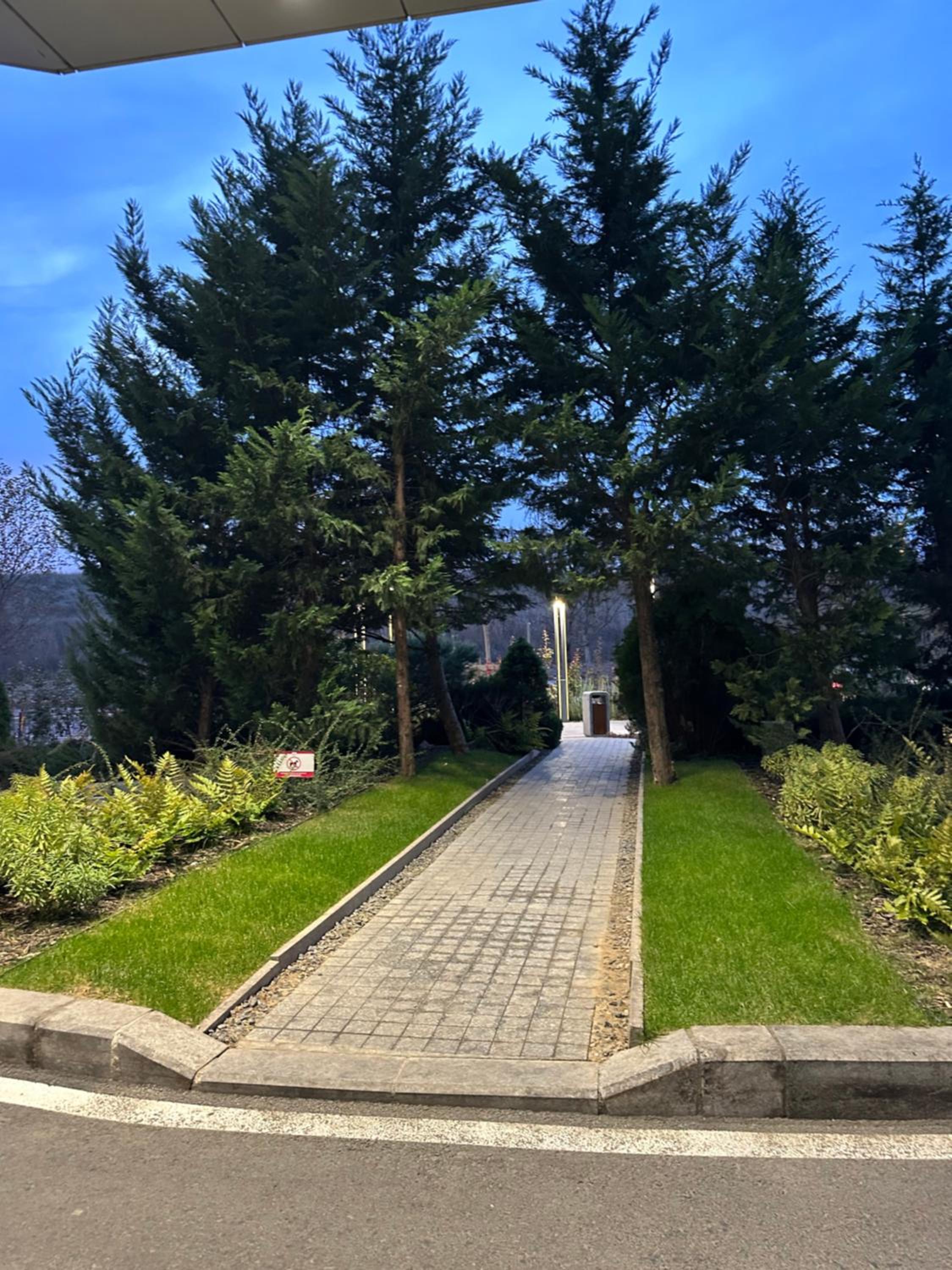 Cherry Apartment