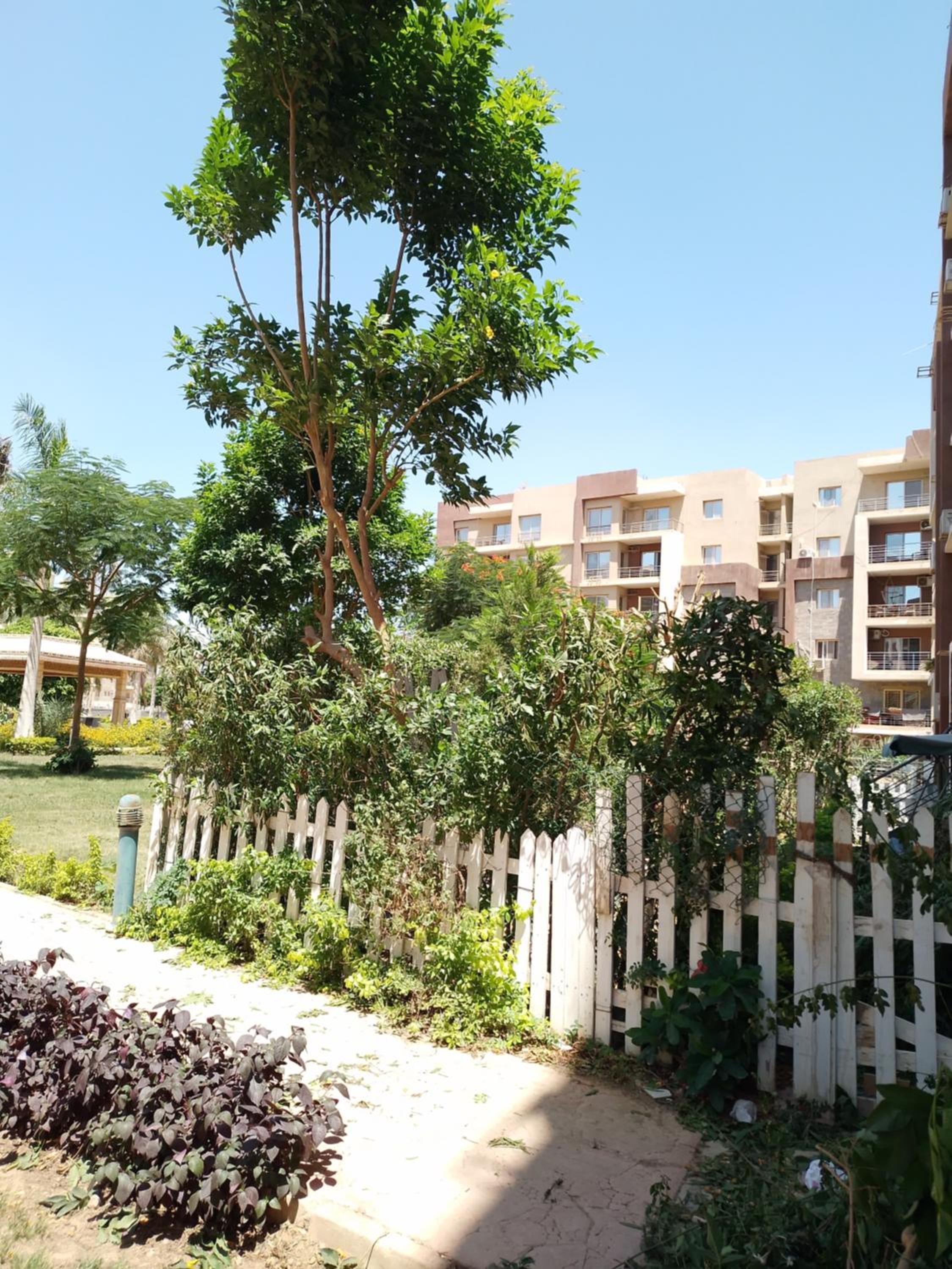 apartment in Elqronfel