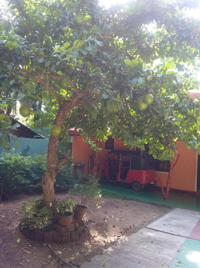 Kawanthissapura Resort
