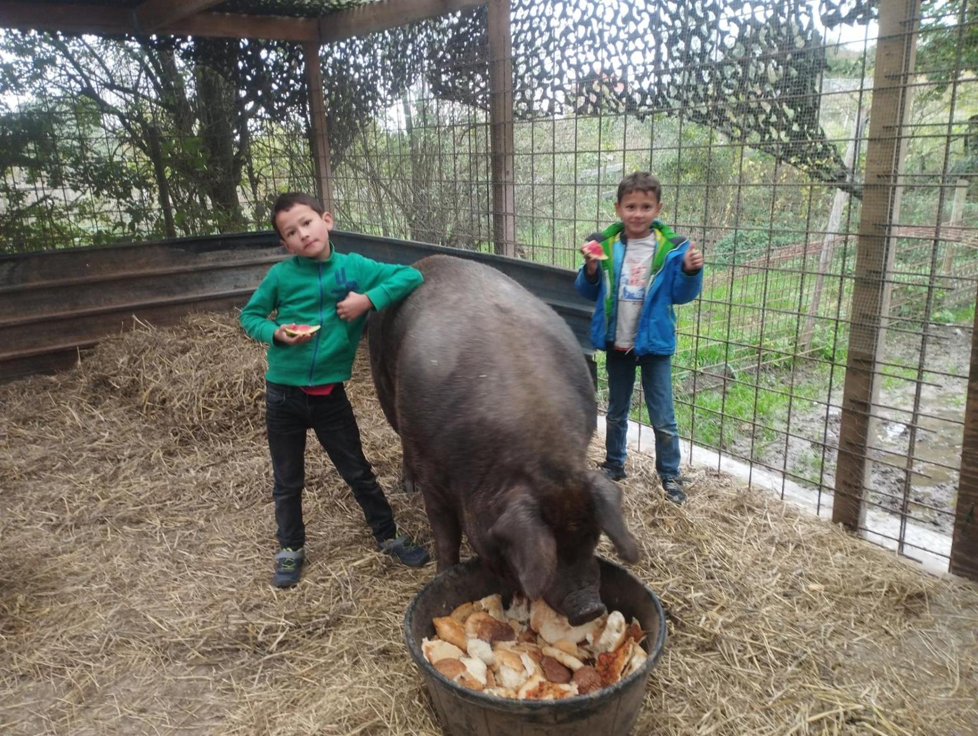 Belevingshoeve 
