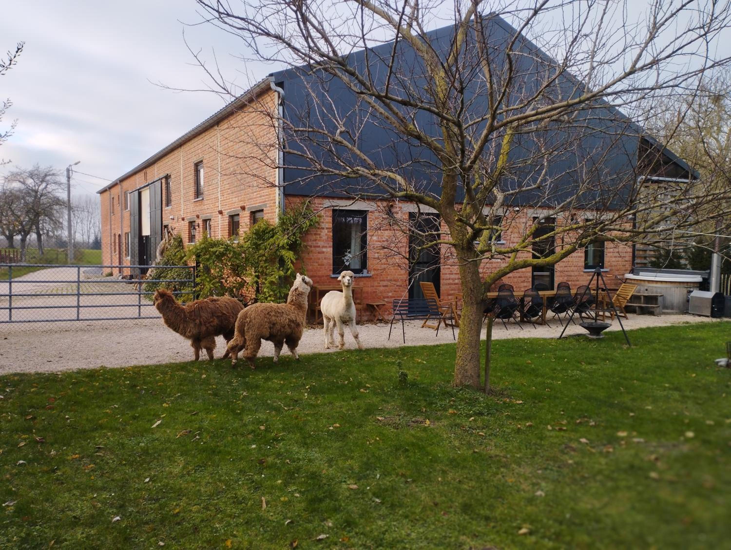 Belevingshoeve 