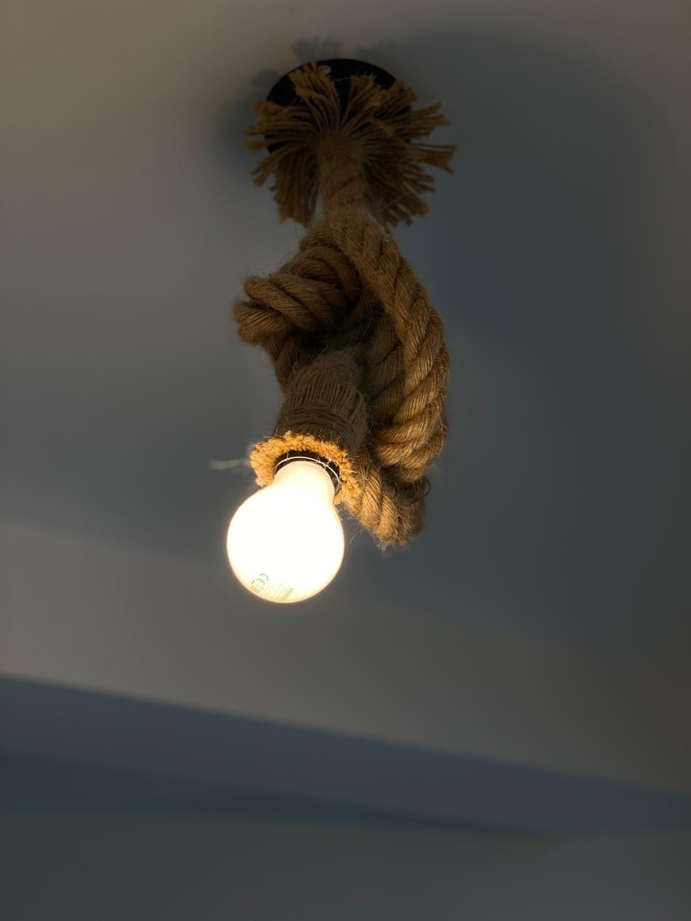 Photo 46