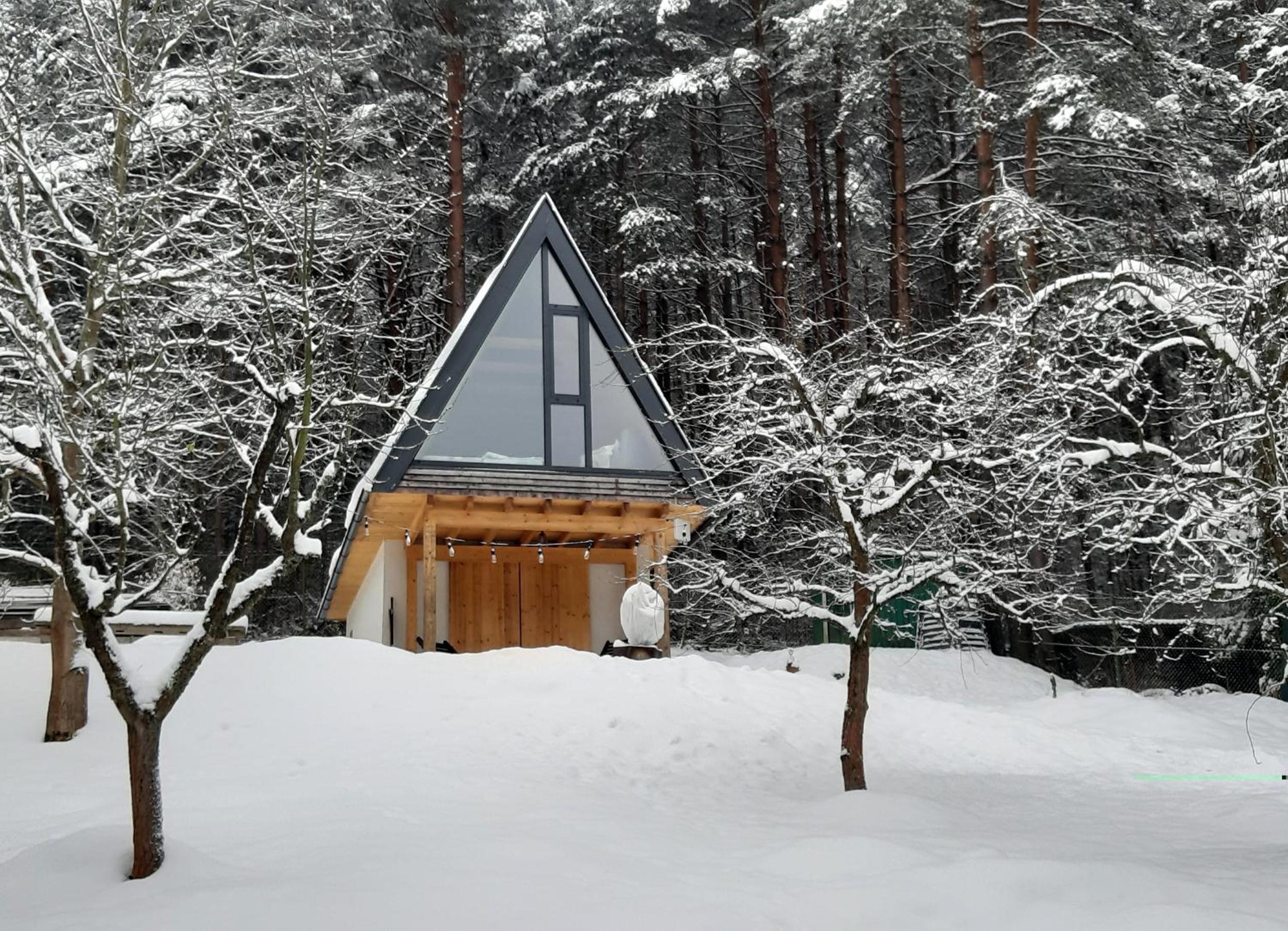 Photo 41