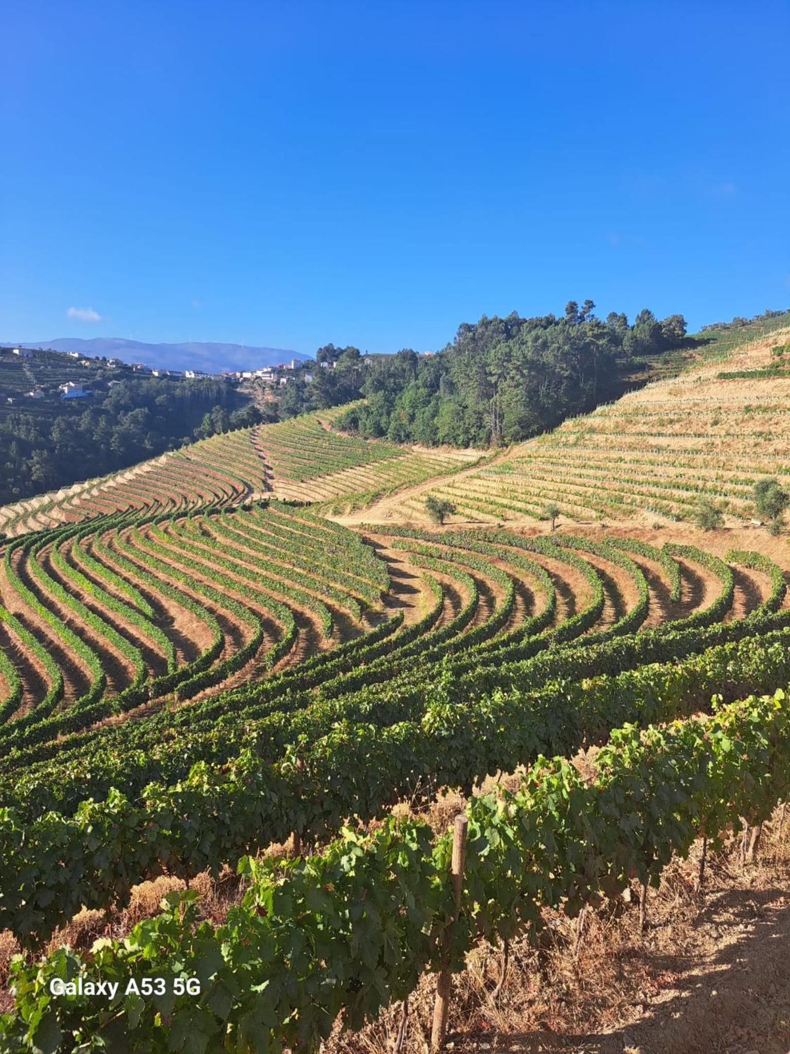 Quinta da Portelada view 3