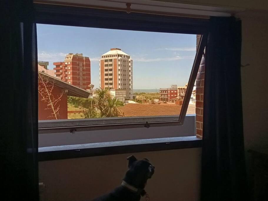 A pasitos del mar, tranquilo.