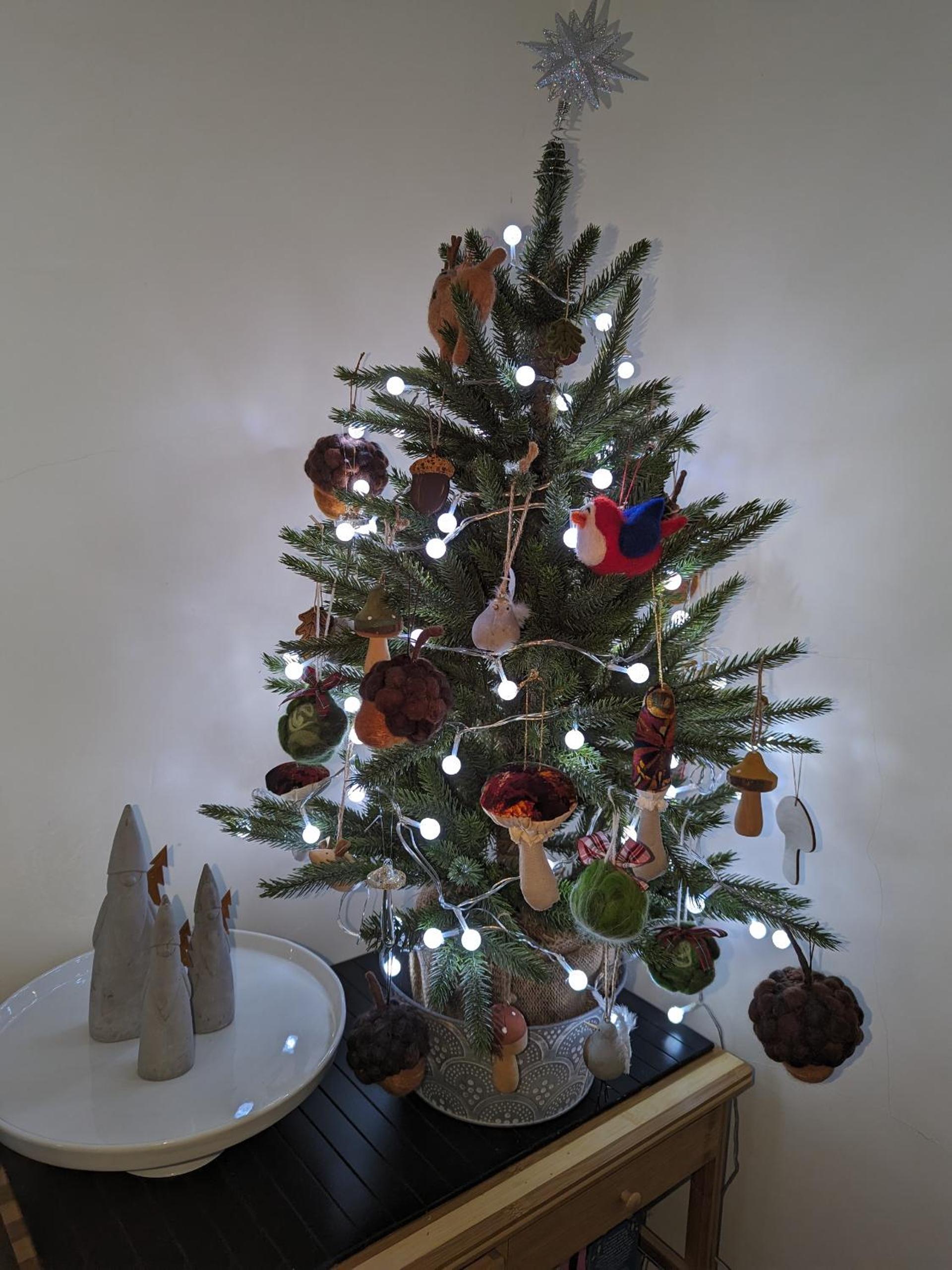 Photo 19