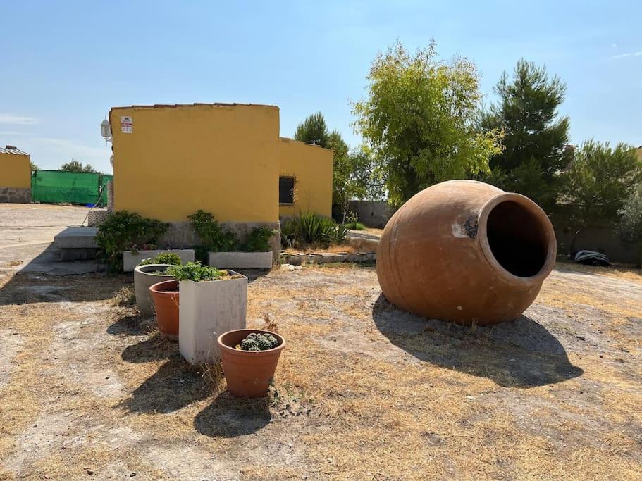 Finca los Nardos de Miraltajo