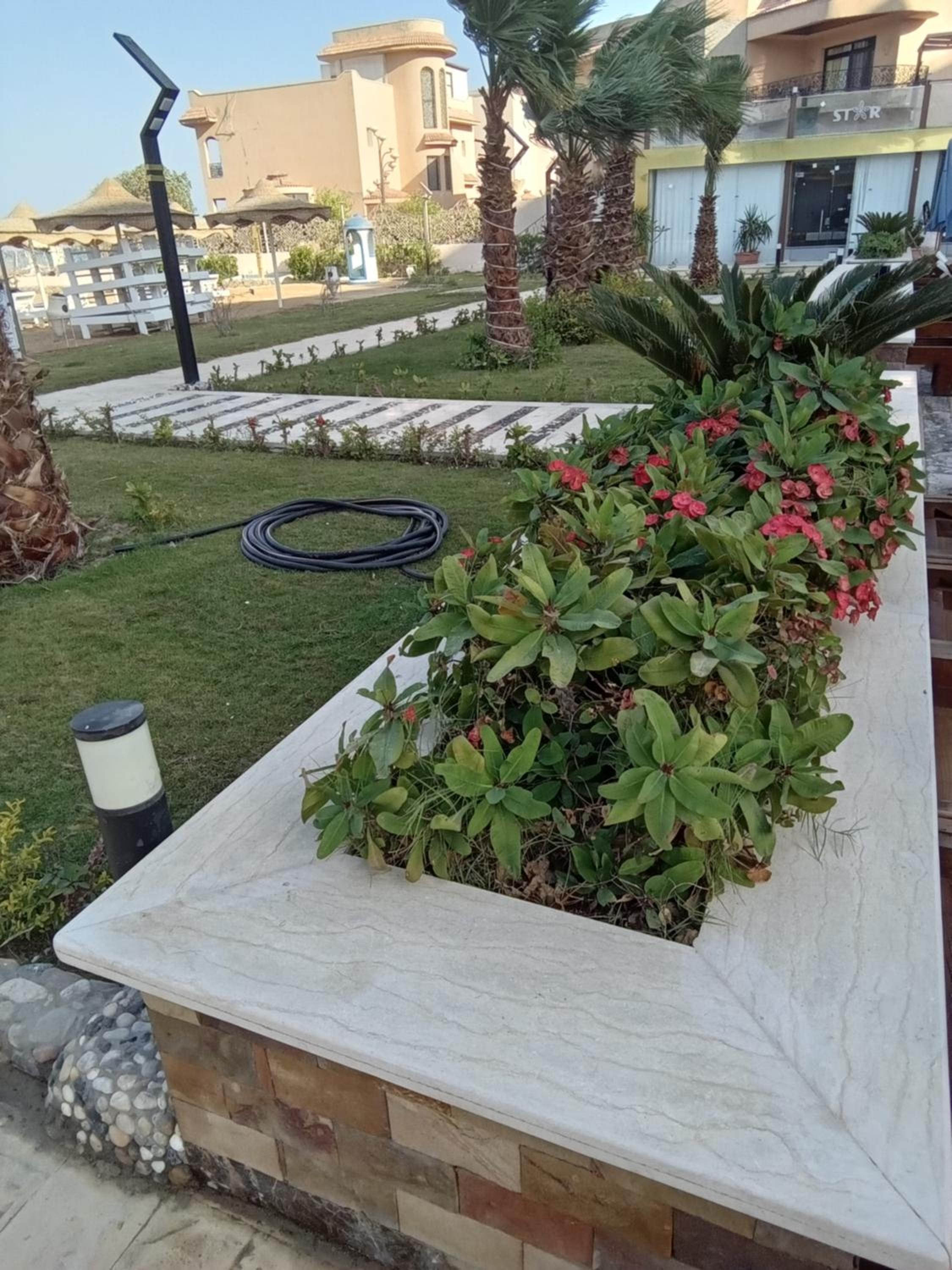 Casablanca star for families and couples only
