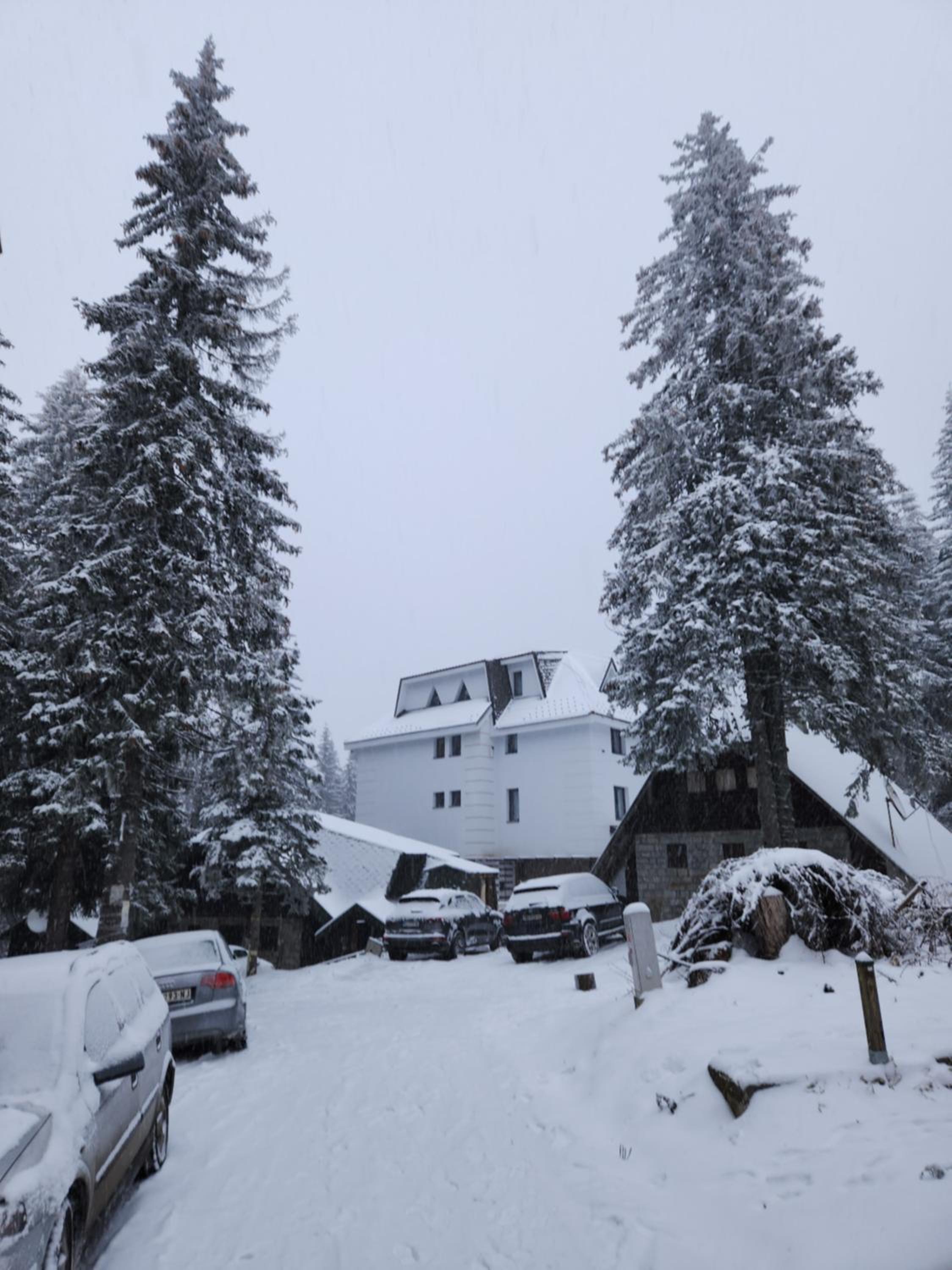 MASSIV Kopaonik centar lux apartmani
