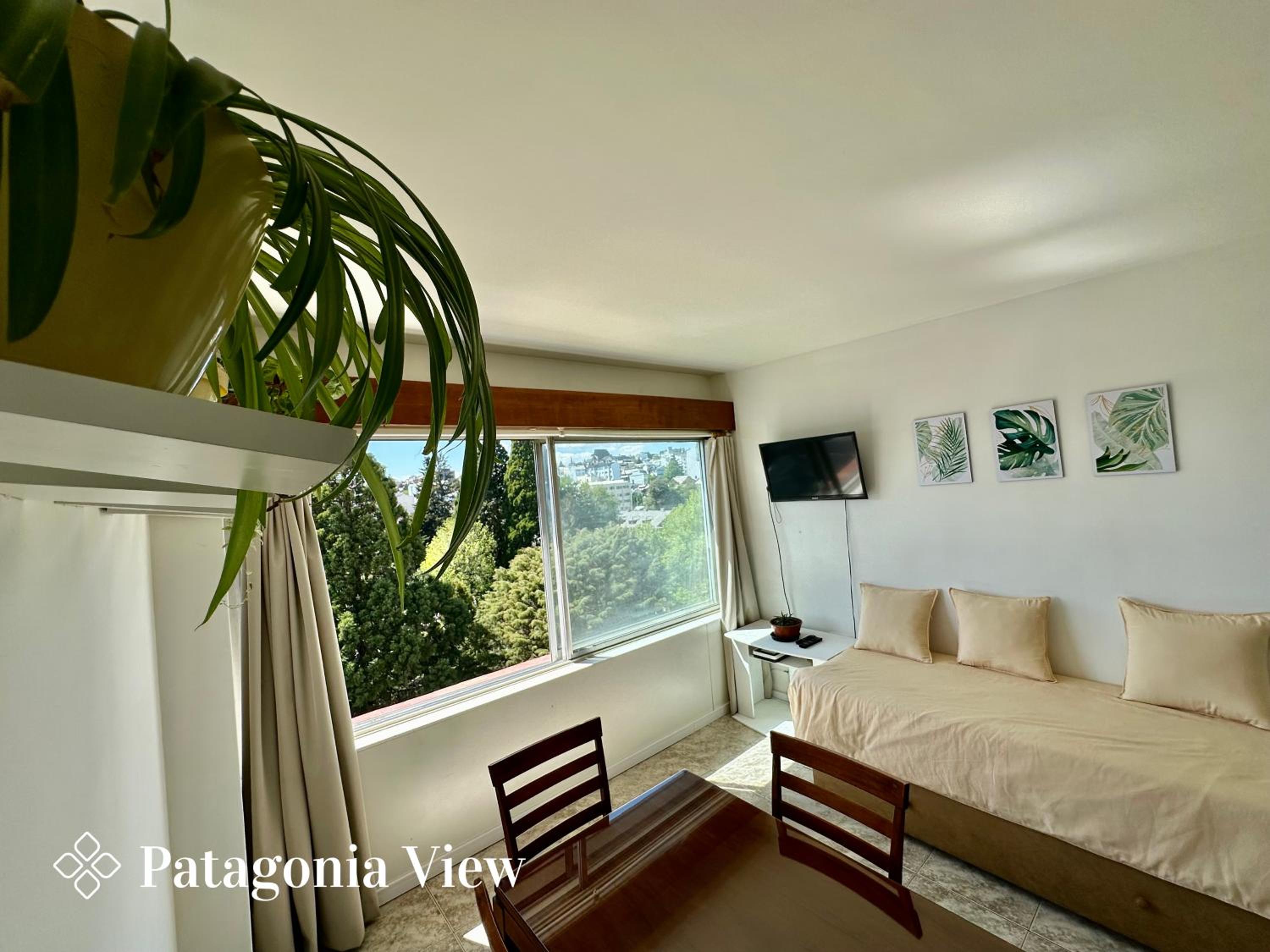 Patagonia View
