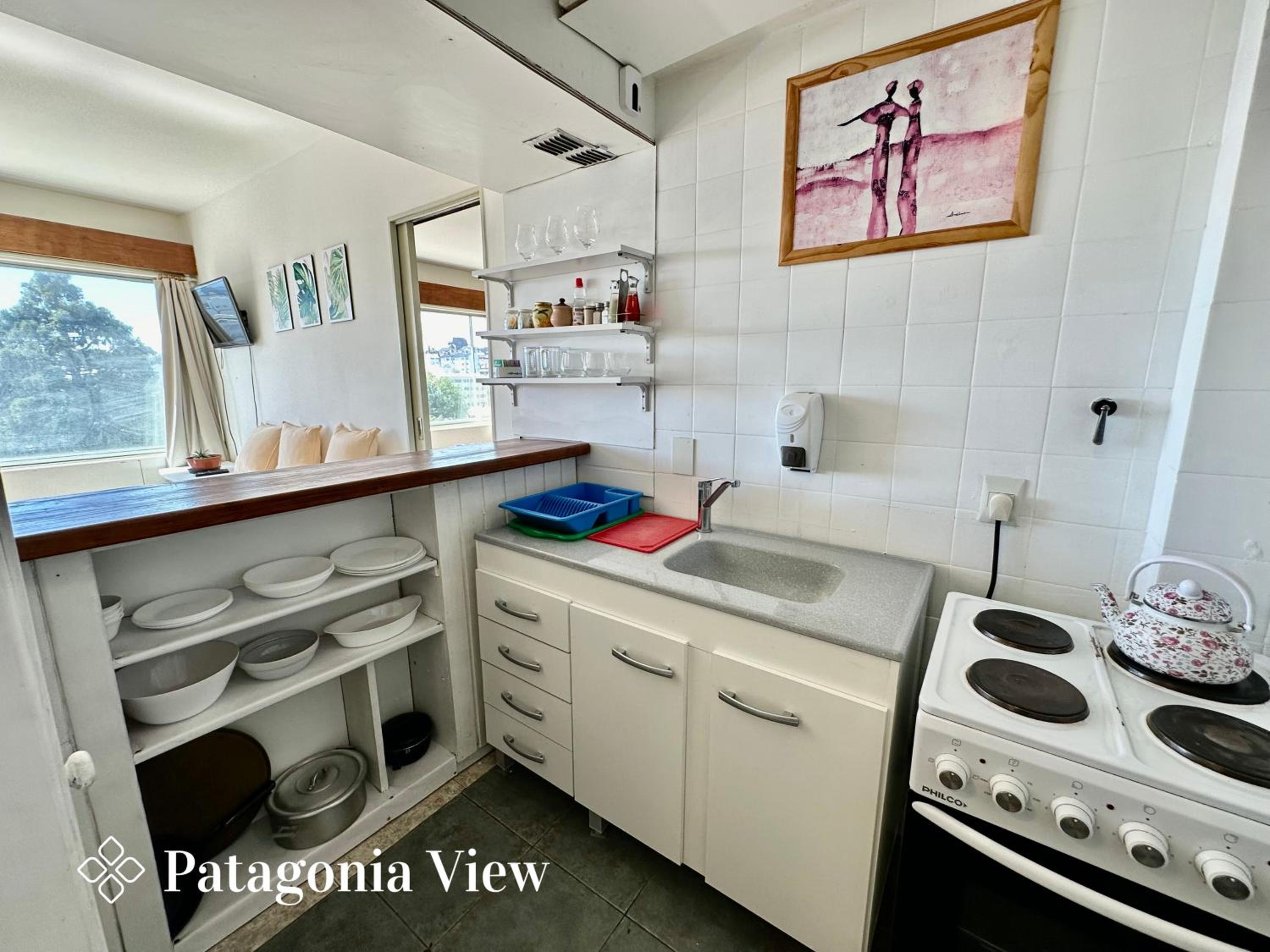 Patagonia View