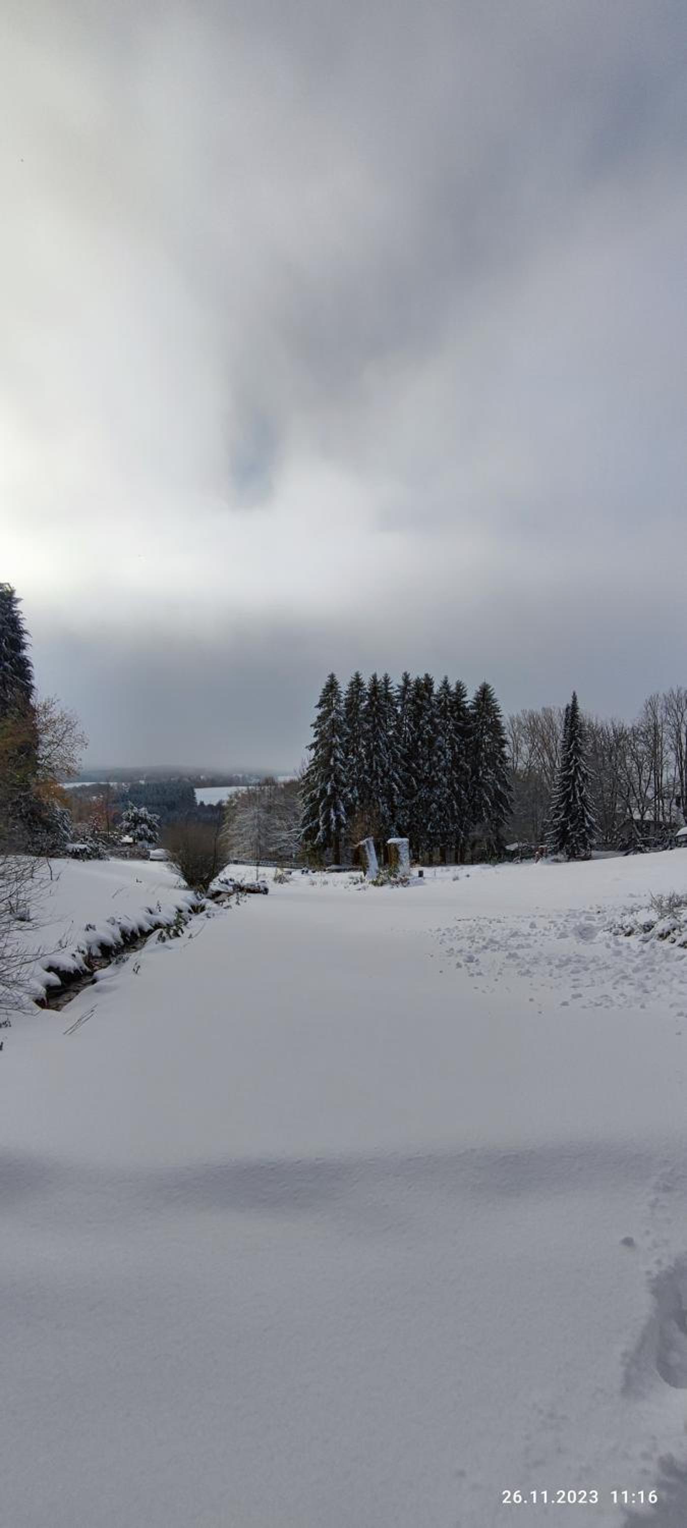 Bodea Alpenblick