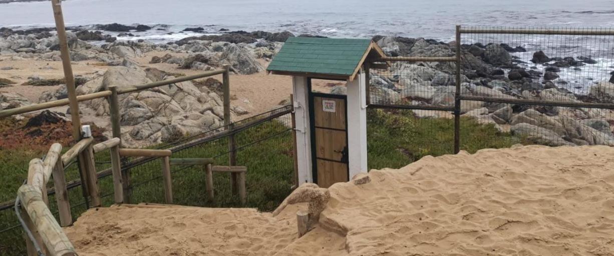 Vive el mar Dpto frente a la playa en El Tabo