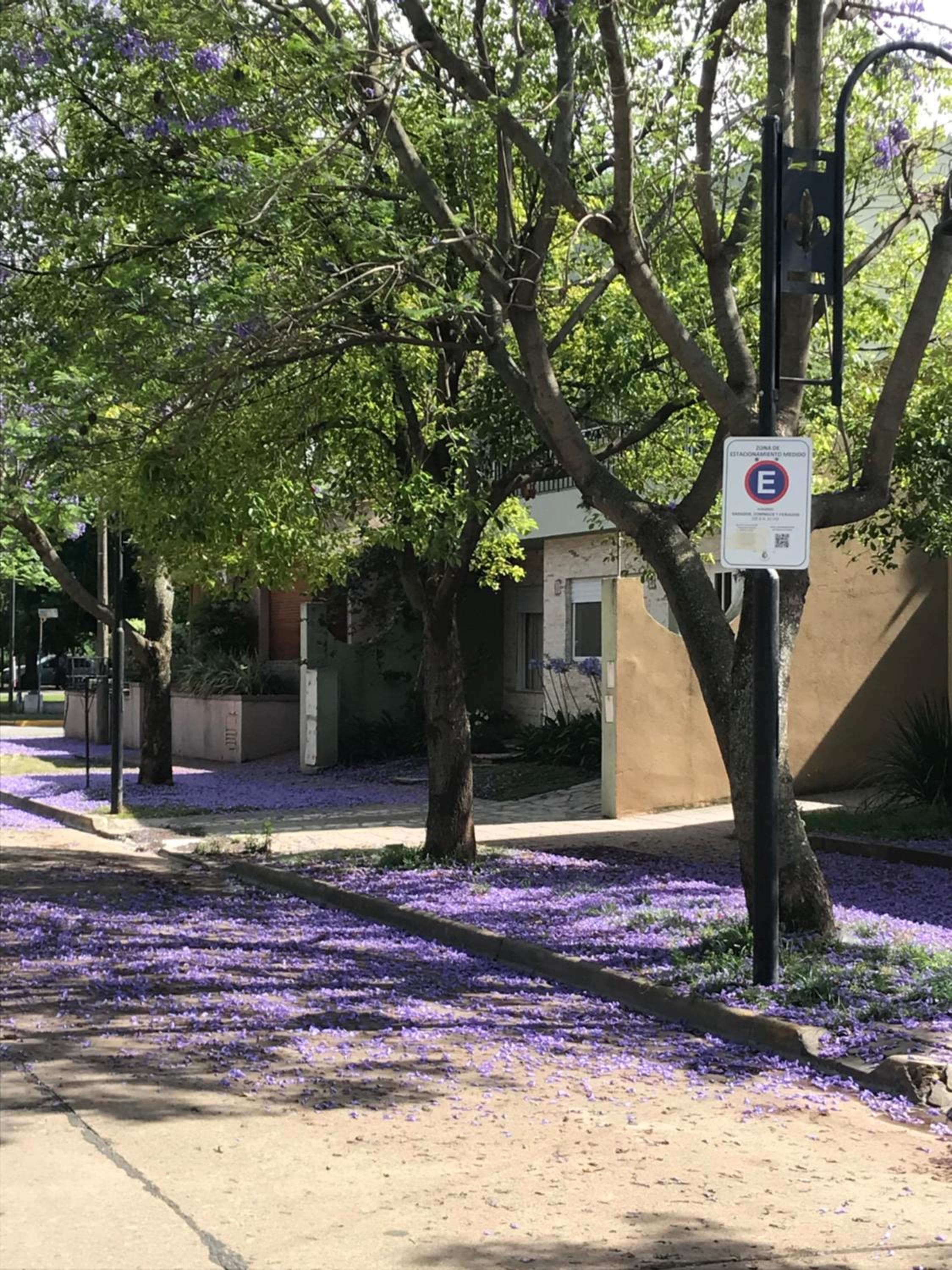 Boulevard Alsina 5