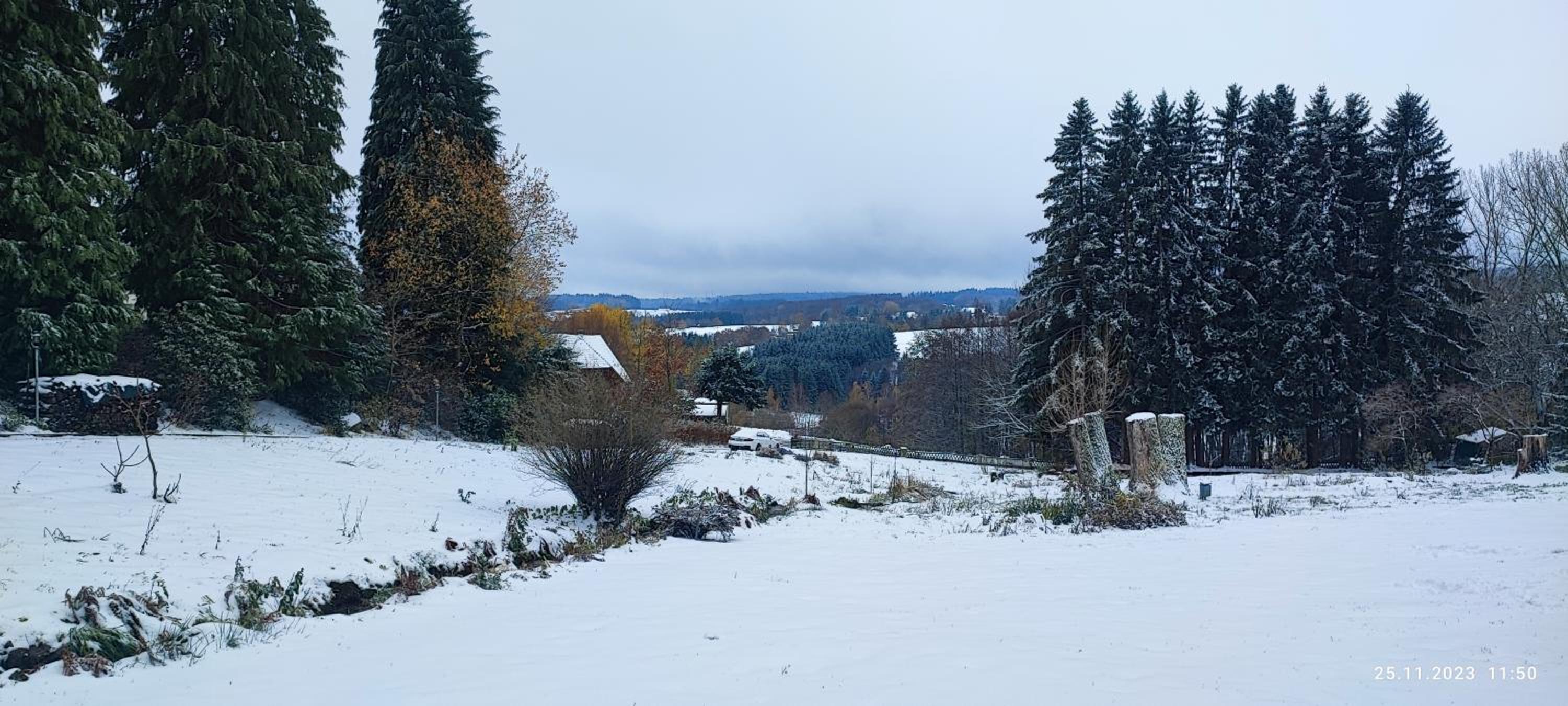 Bodea Alpenblick