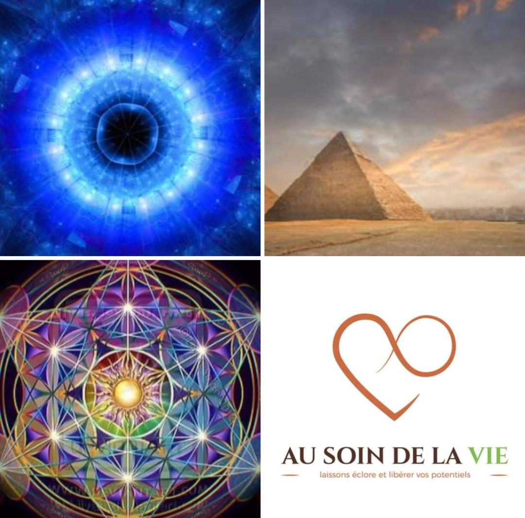 Au soin de la Vie