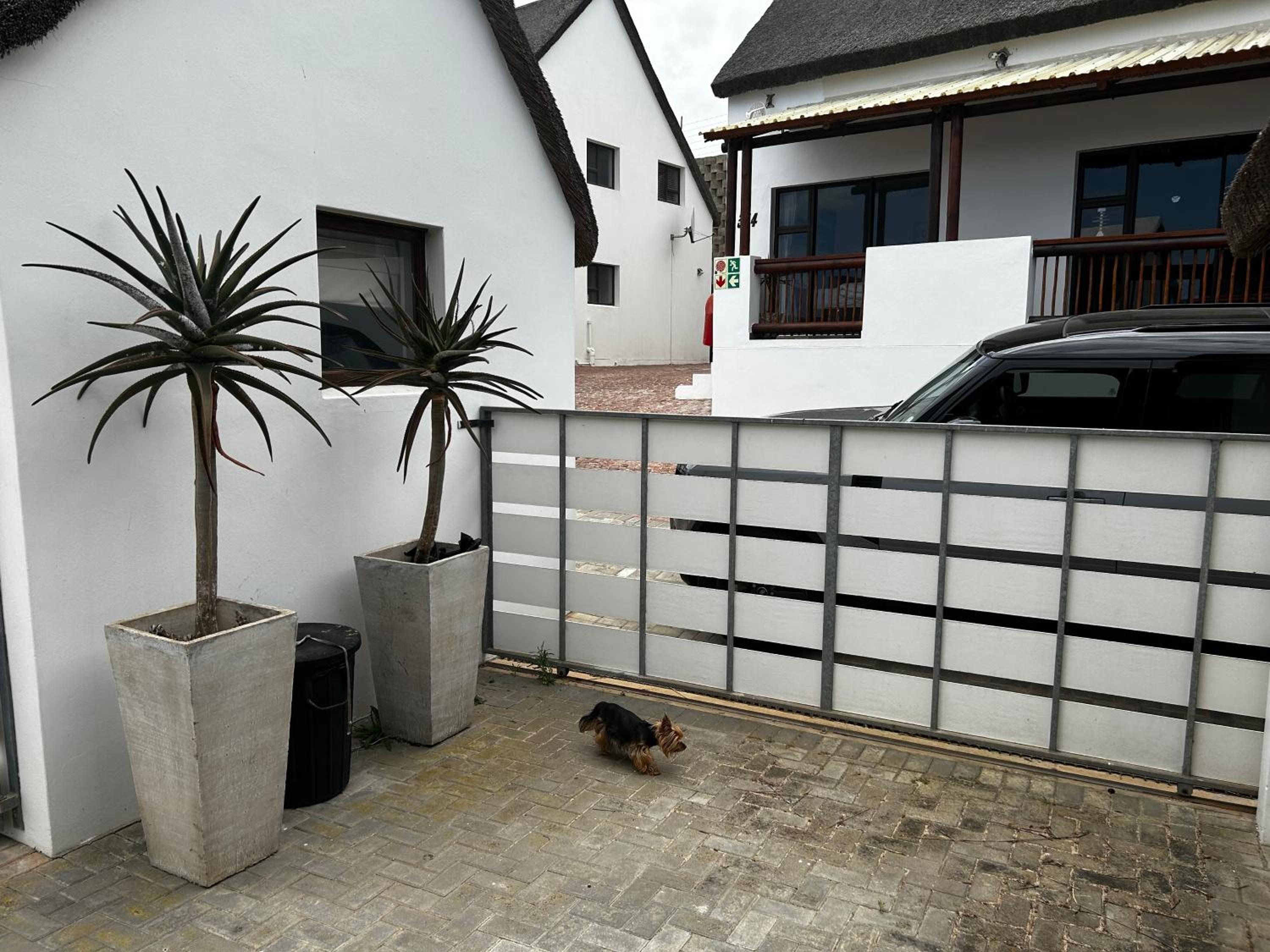 Photo 41