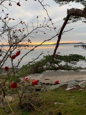 Villa Särö