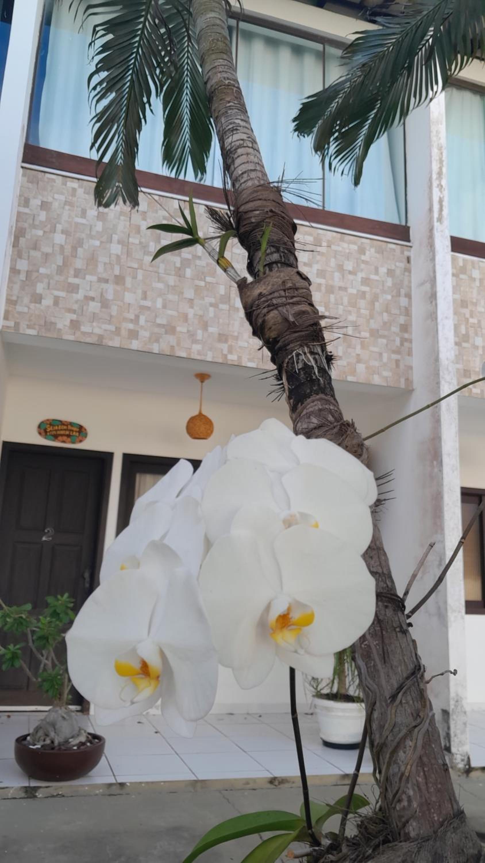 Village Shalom Casa 6 - Porto de Sauipe