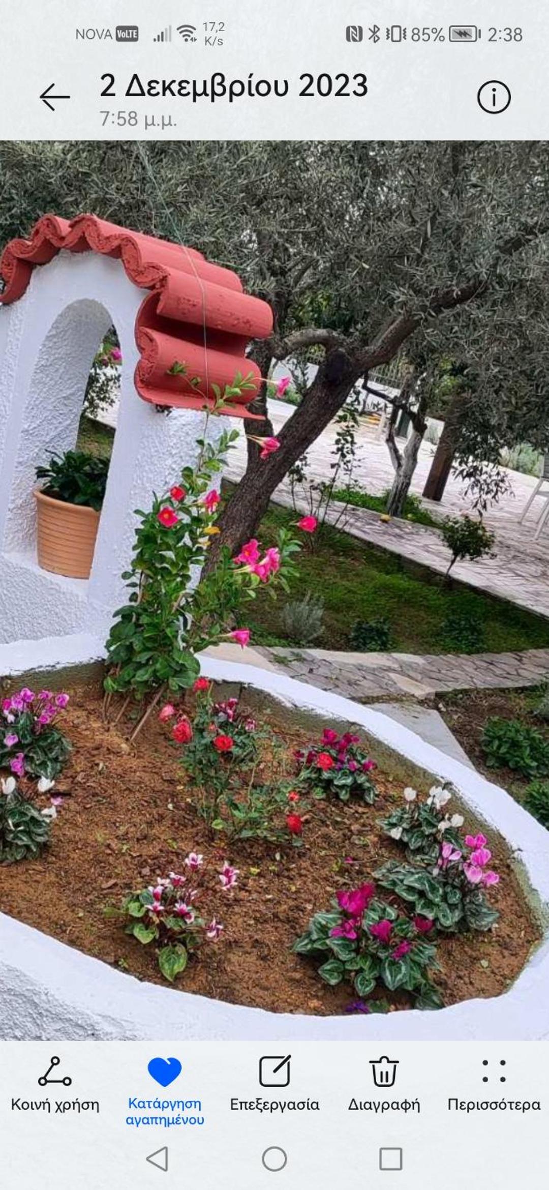 Villa Alex