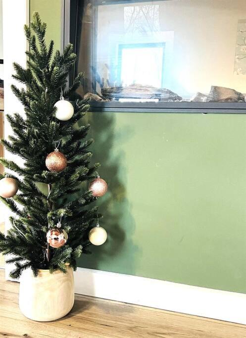 Photo 18