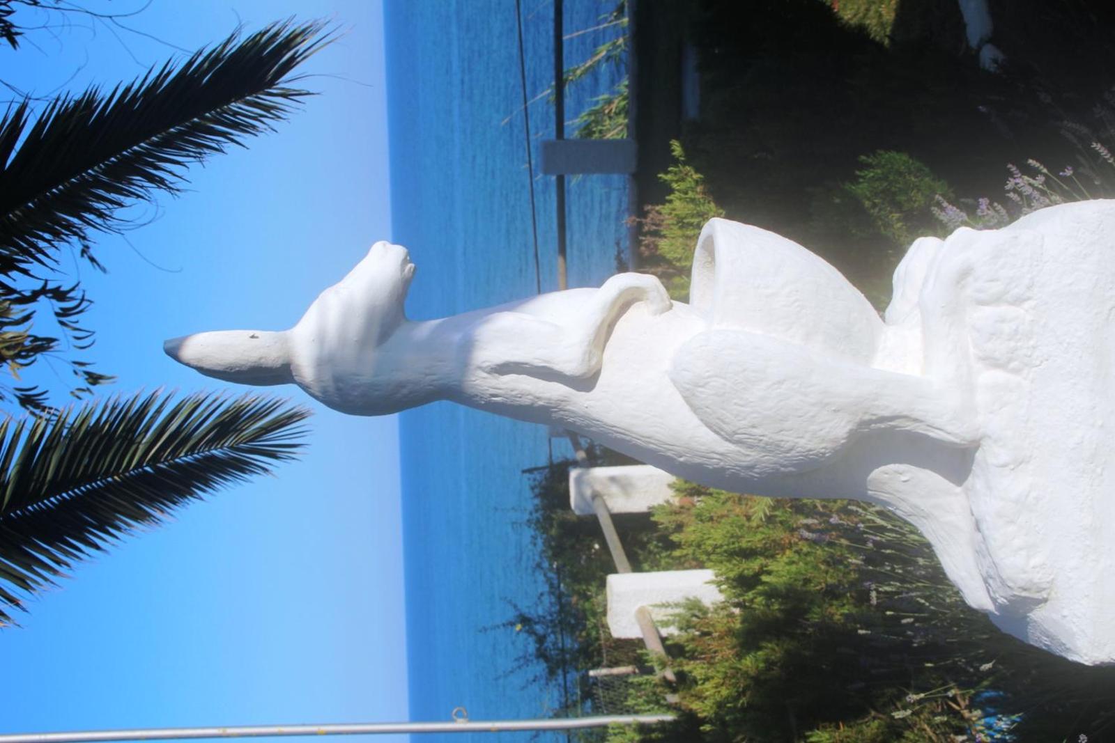 Càmping Kanguro