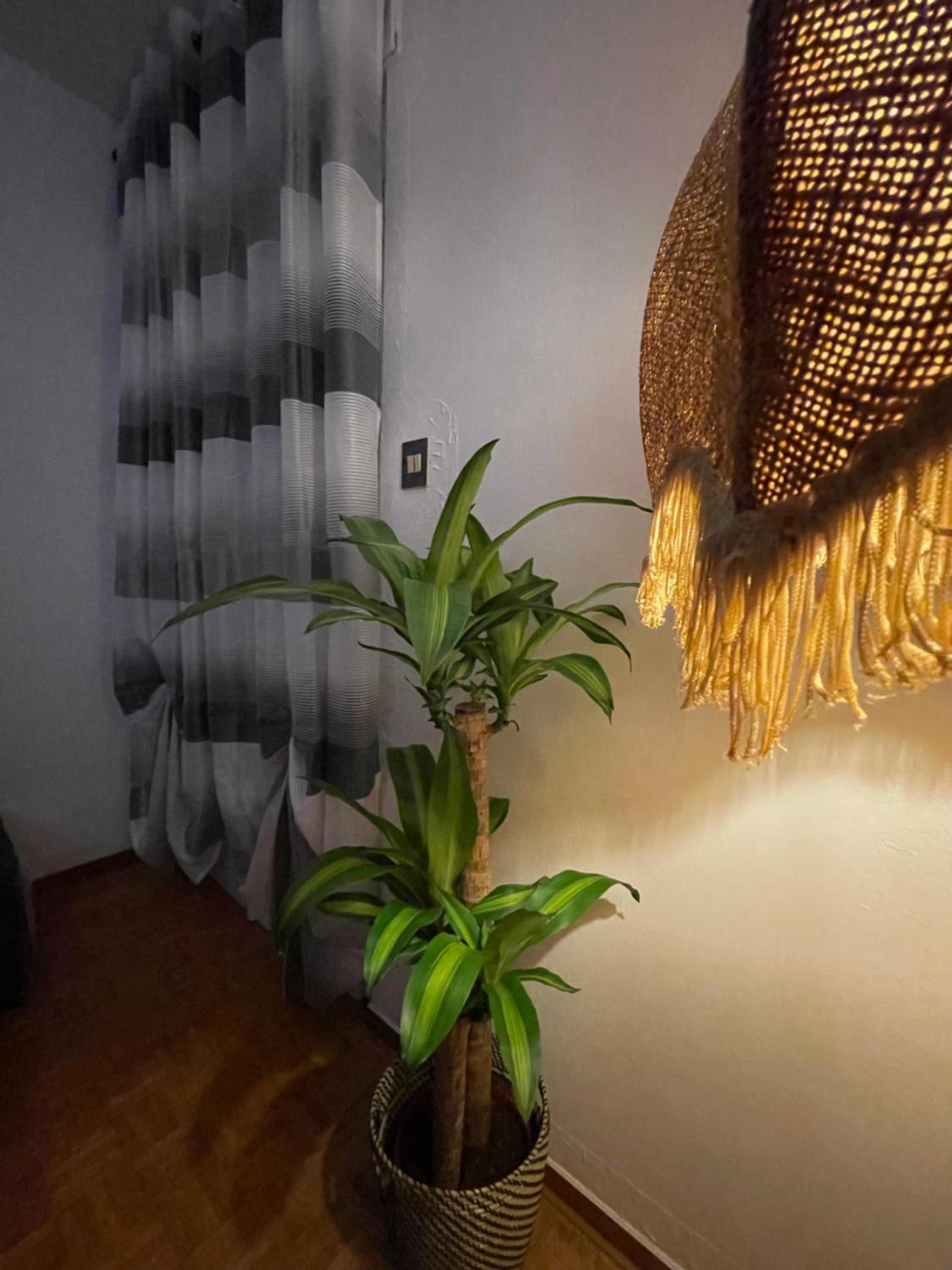 SunWay Apartment