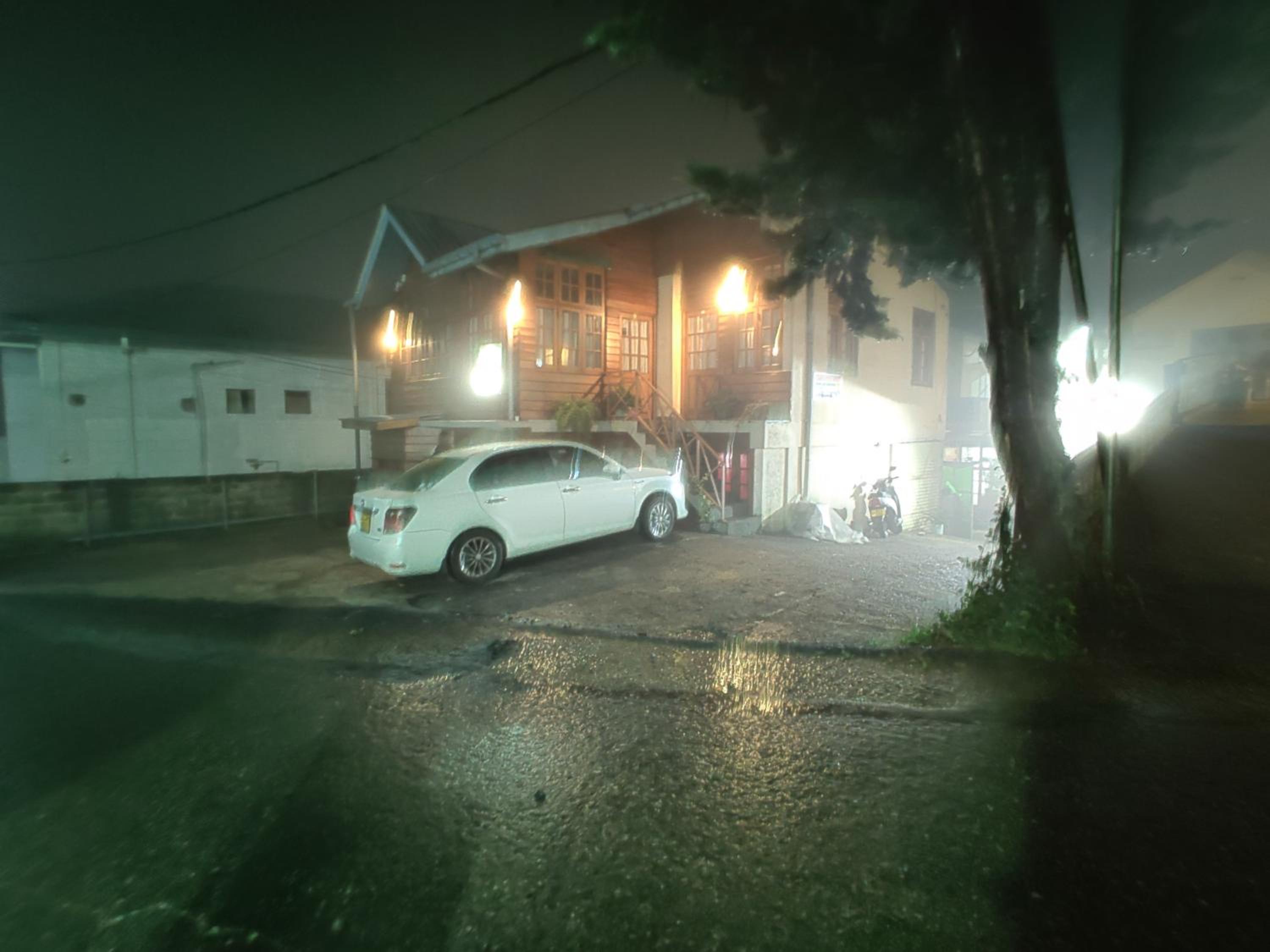 Carnation Rest