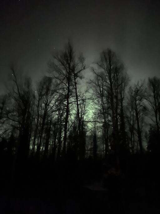 Photo 40