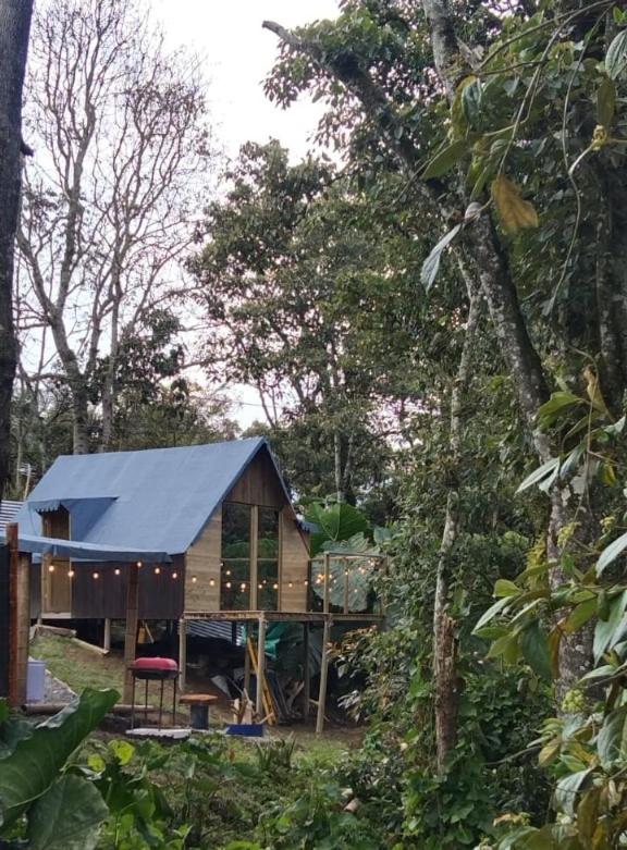 Cabaña Bosquecito Escondido