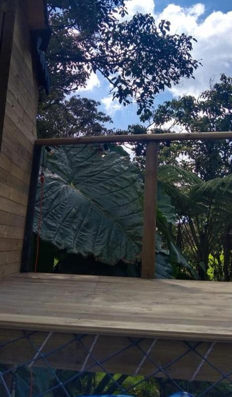 Cabaña Bosquecito Escondido
