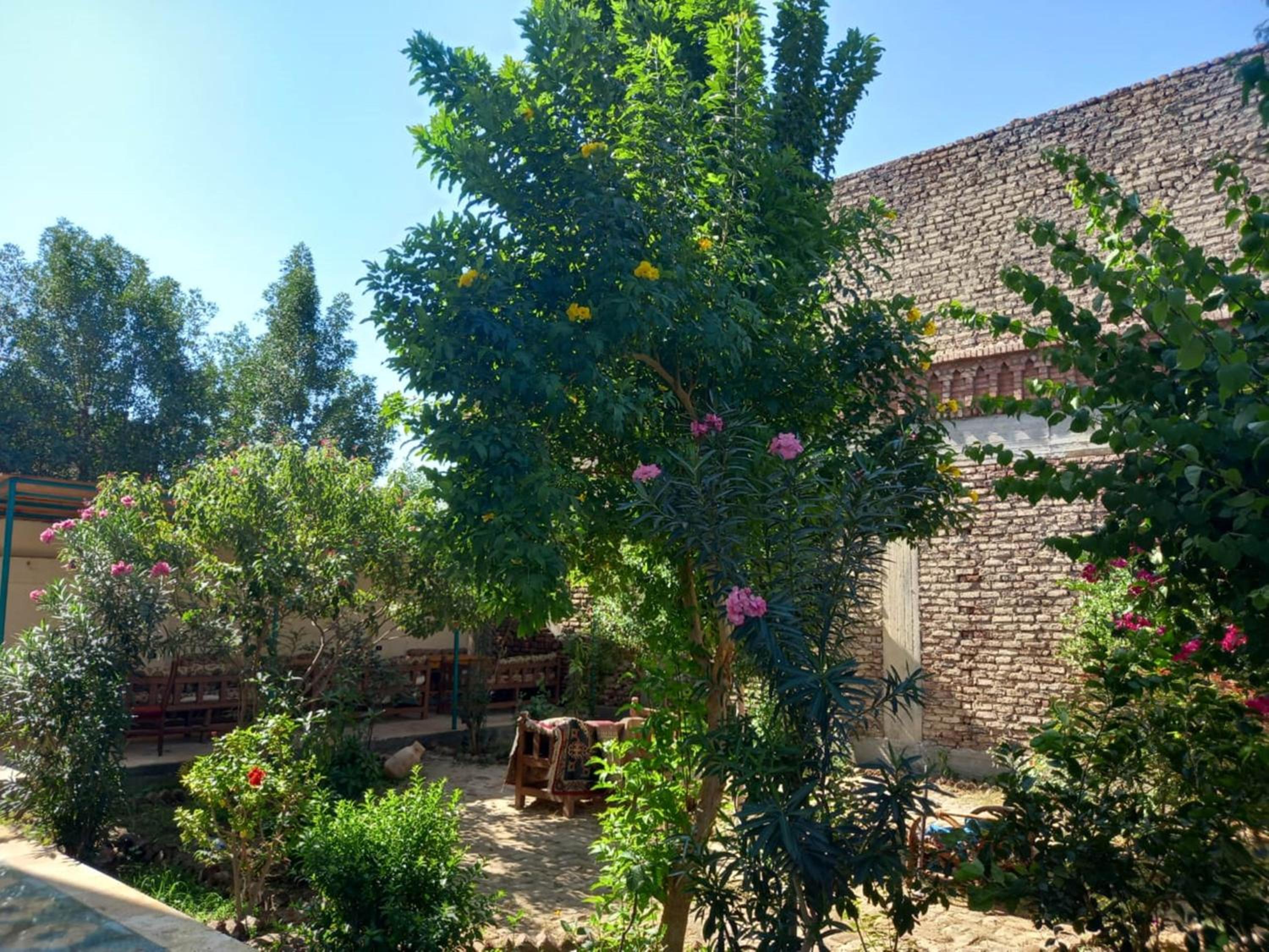 Photo 28
