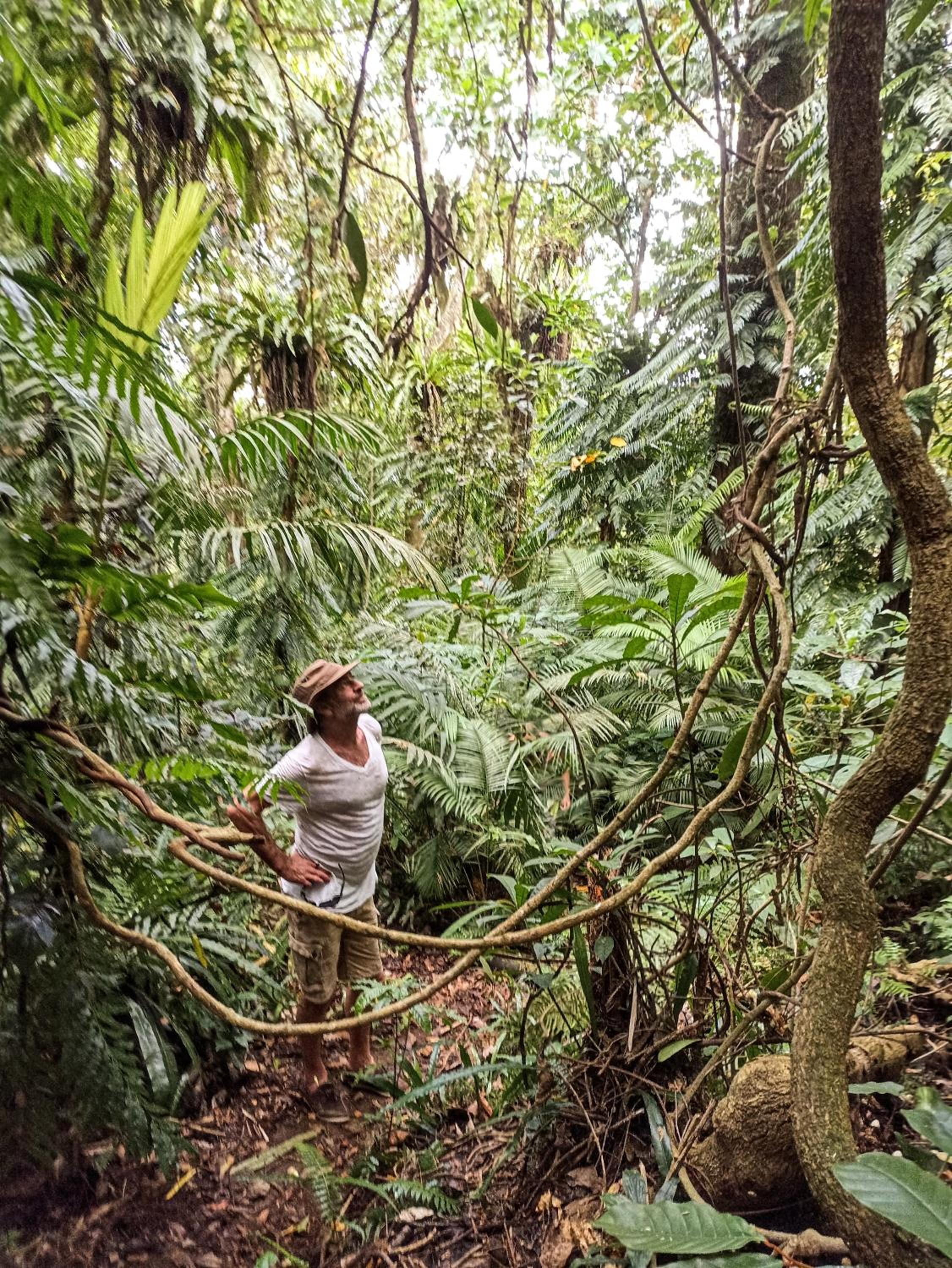 Sarinbuana Eco Lodge