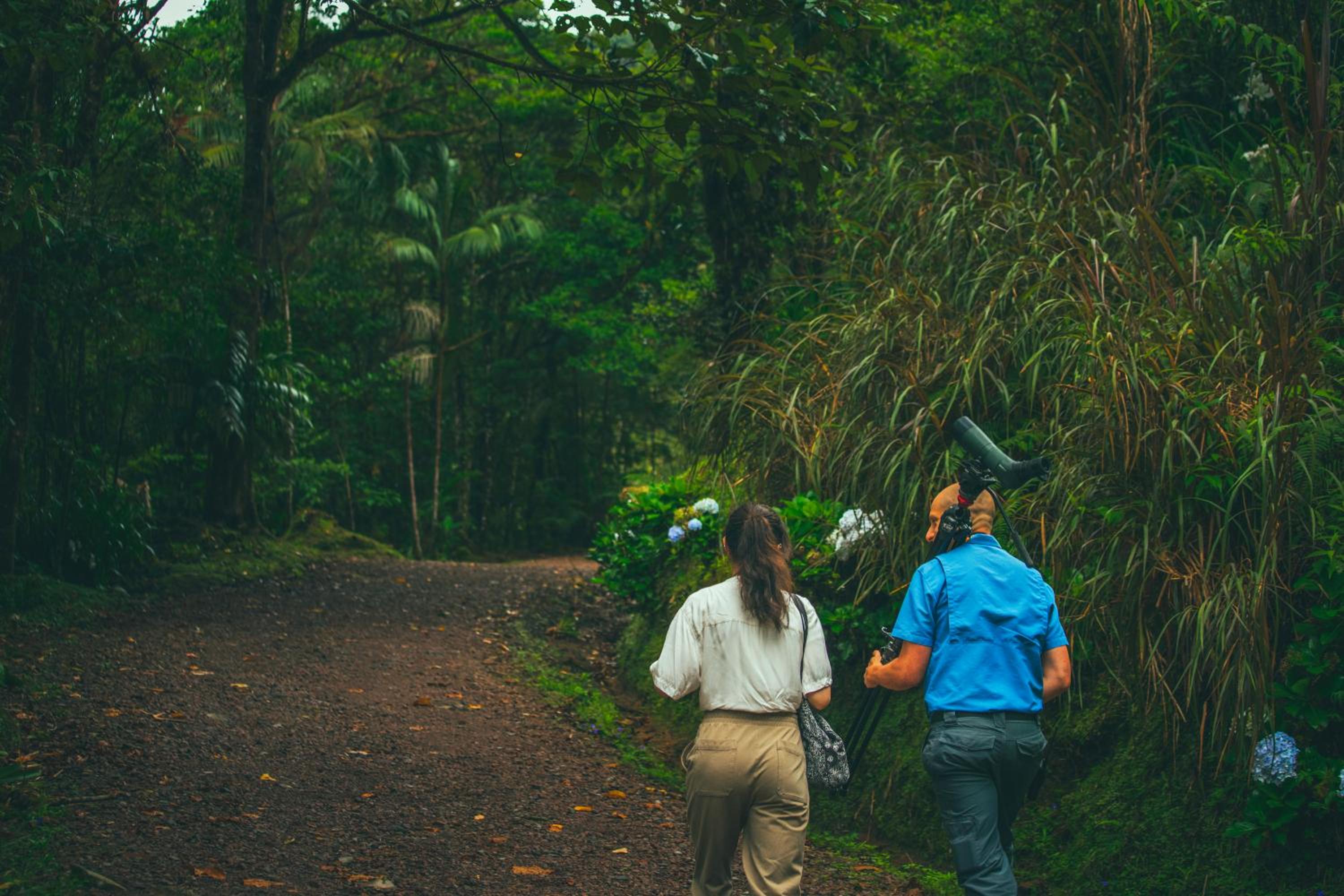 El Silencio Lodge & Spa Costa Rica