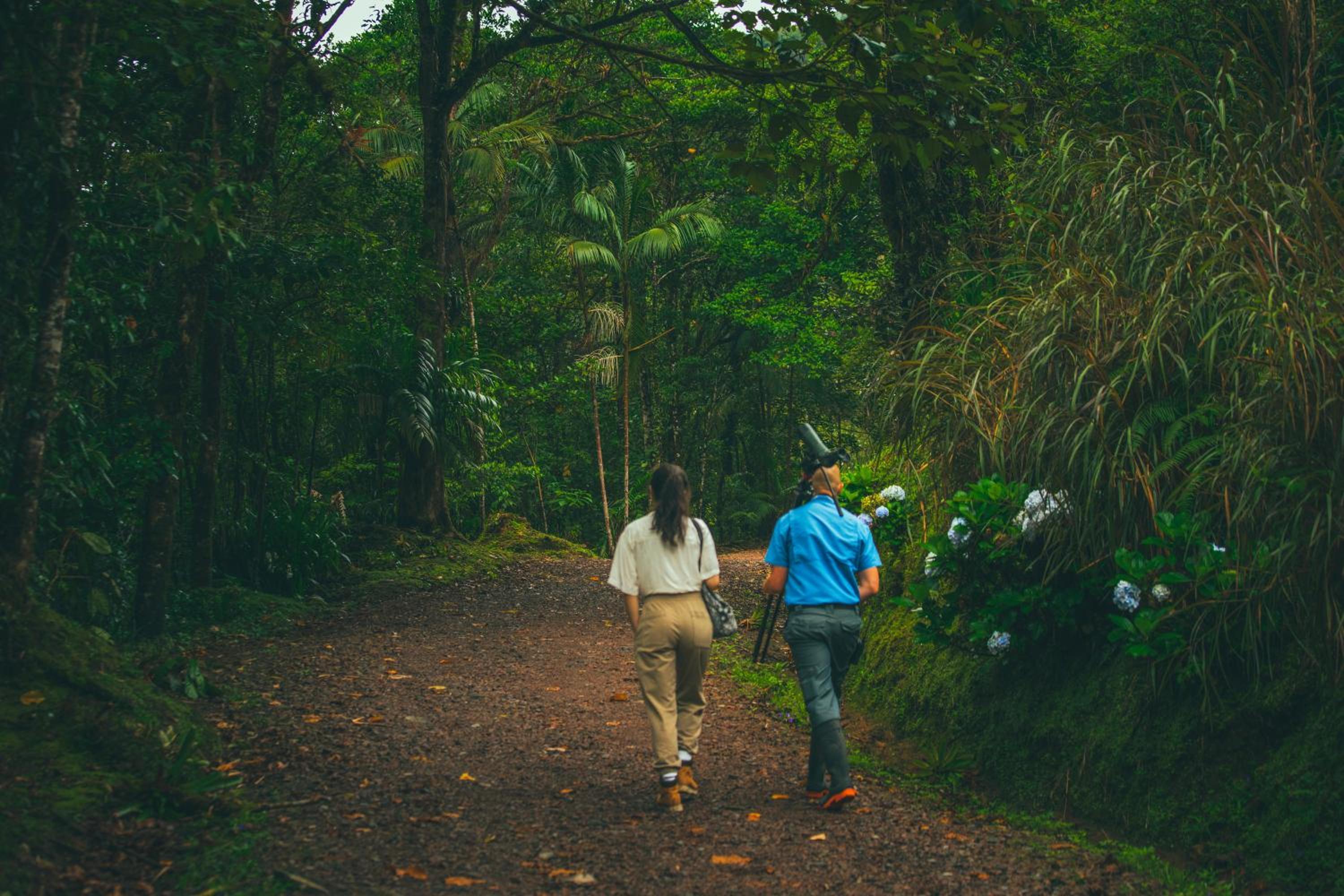 El Silencio Lodge & Spa Costa Rica