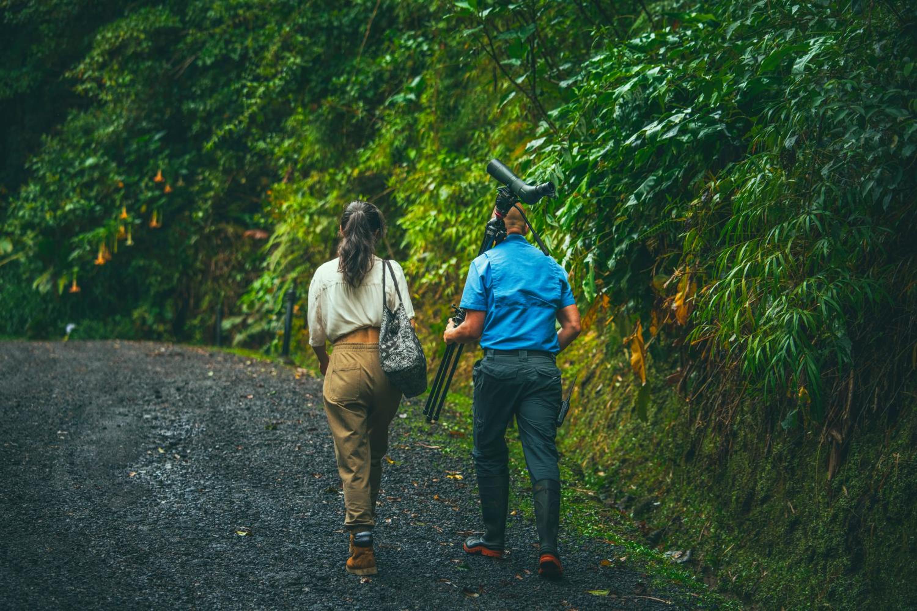 El Silencio Lodge & Spa Costa Rica