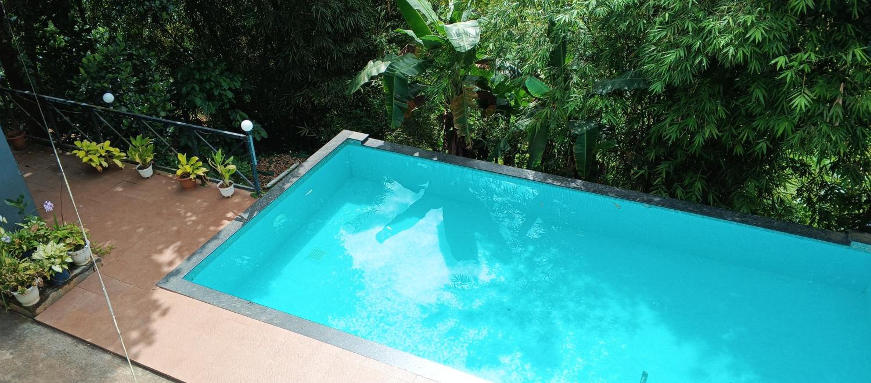 Homey Residency vythiri view 3