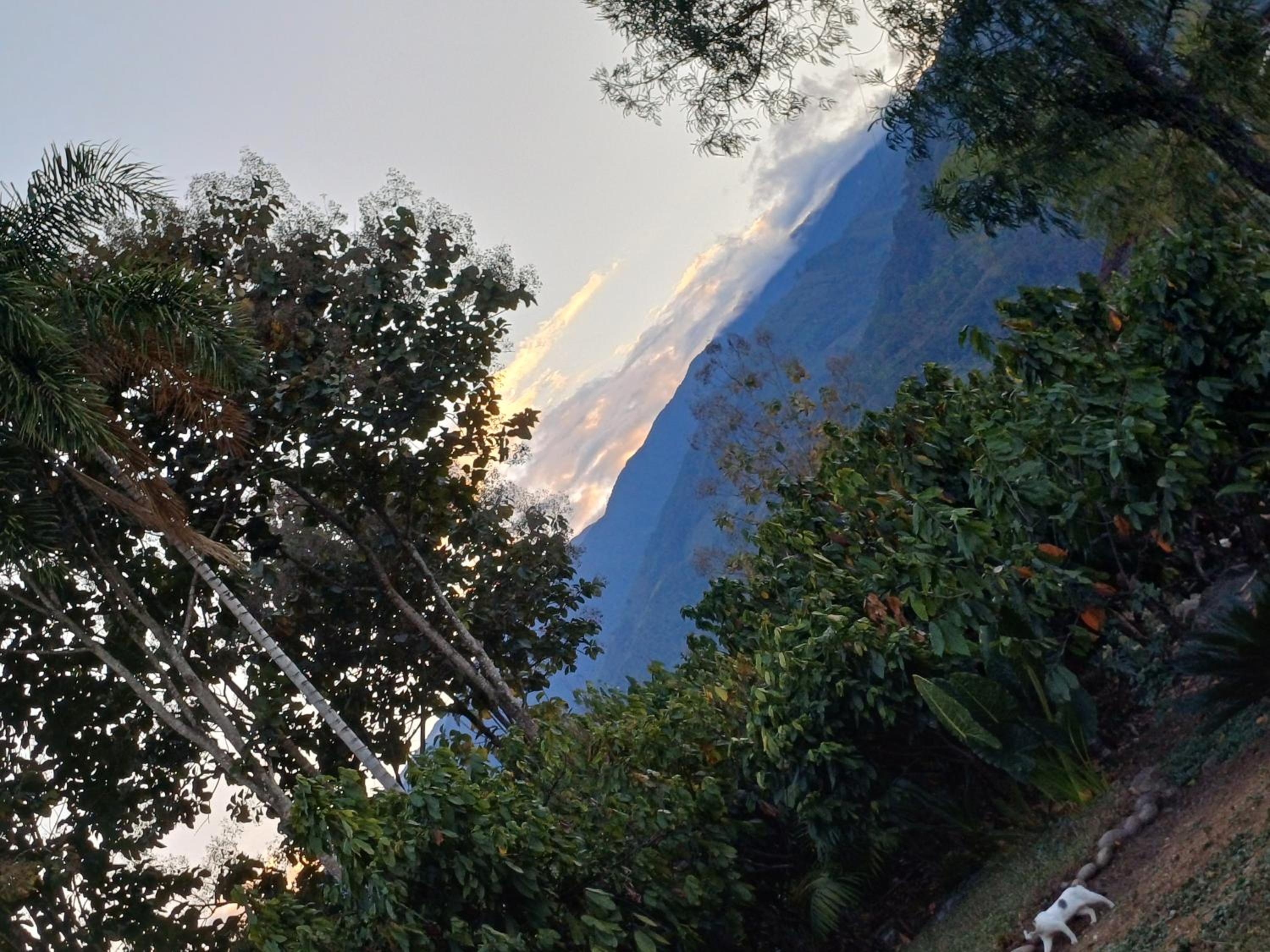 El Cacaotal Finca Faura #5 3H view 5